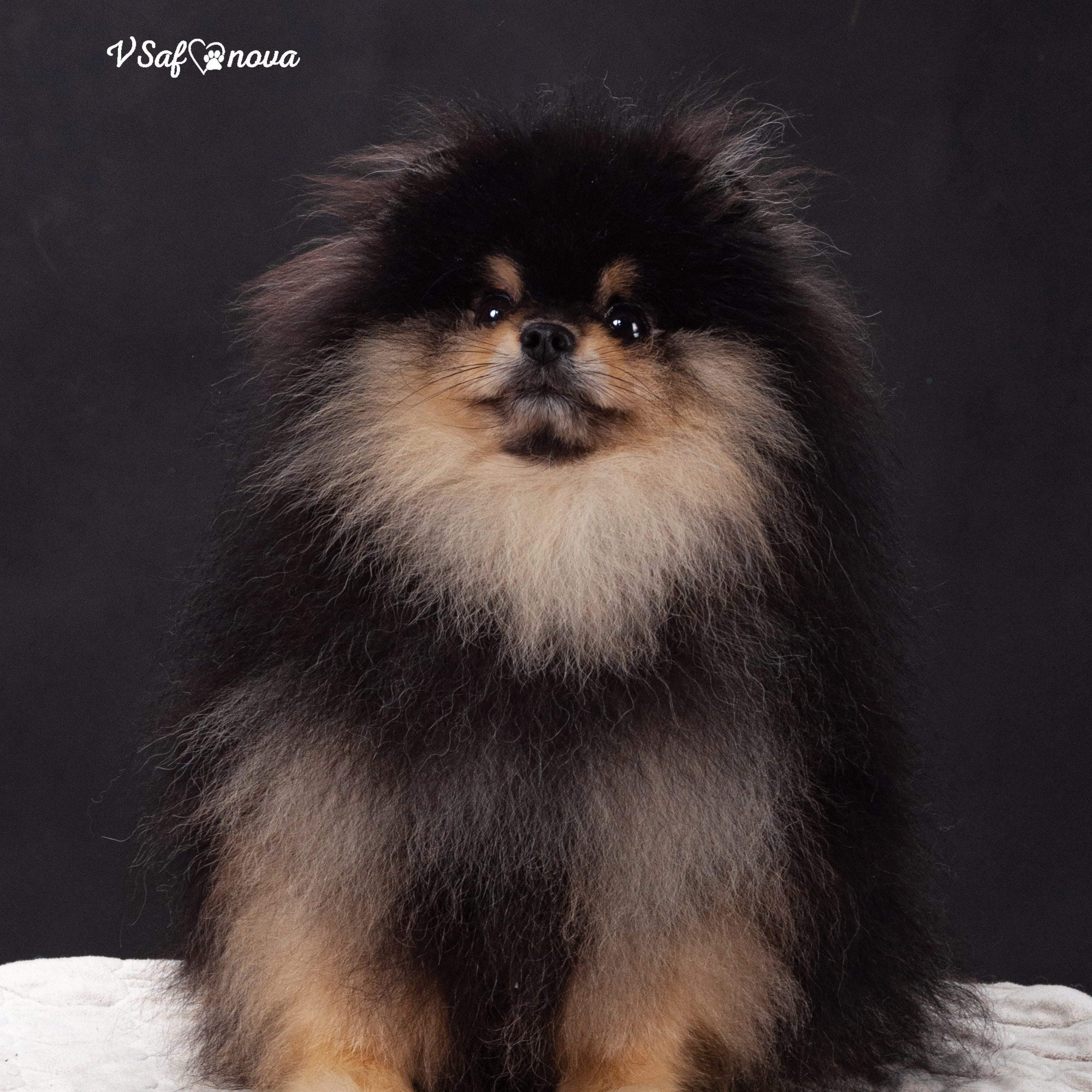 Каир и Ральф