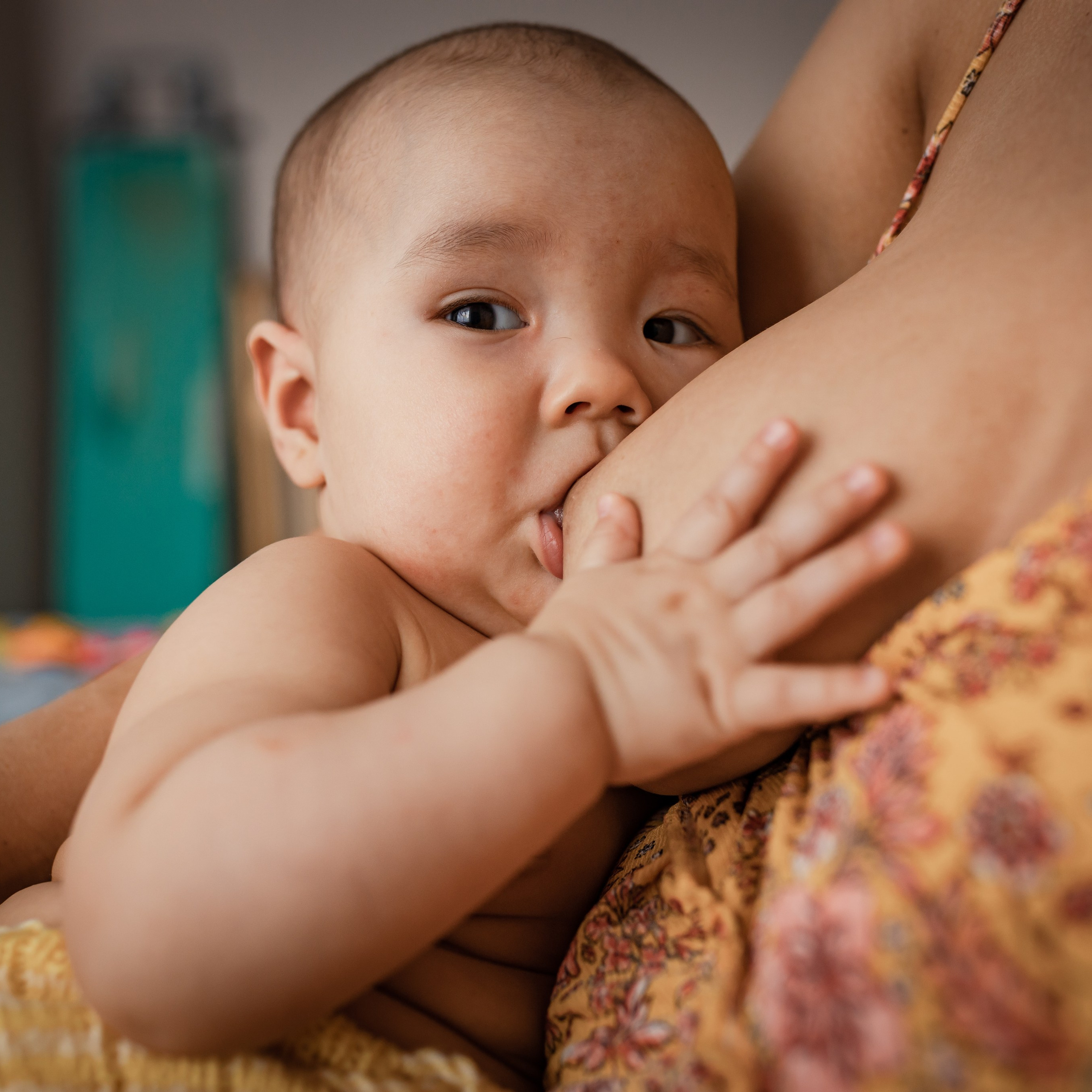 Домашние фотоистории Анечки и Мишутки