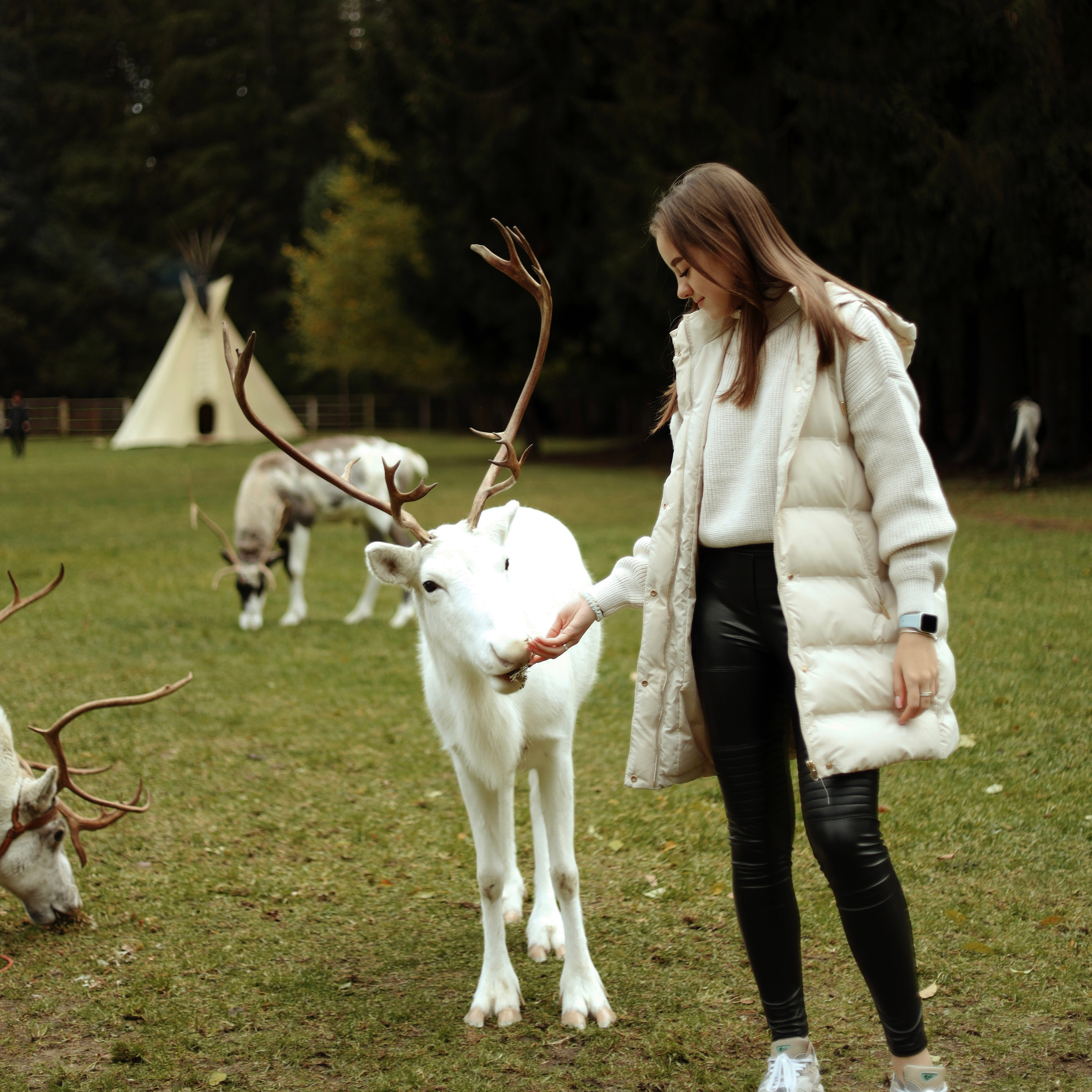 Отзывы. Свадебный фотограф СПБ, Love story. Дарья