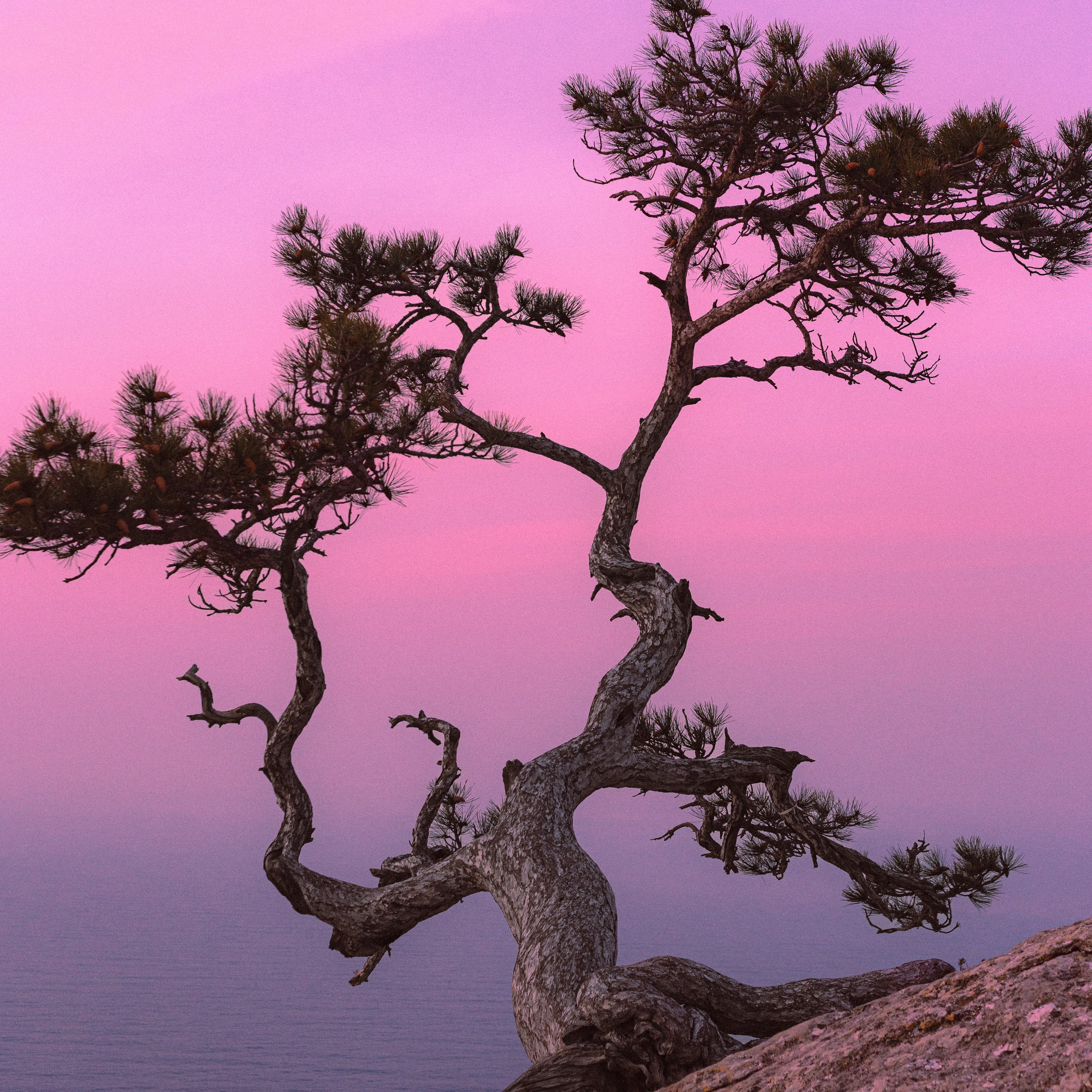 Рассвет на пике Космос. Валерия Вдовина | атмосферные фото-путешествия по Крыму