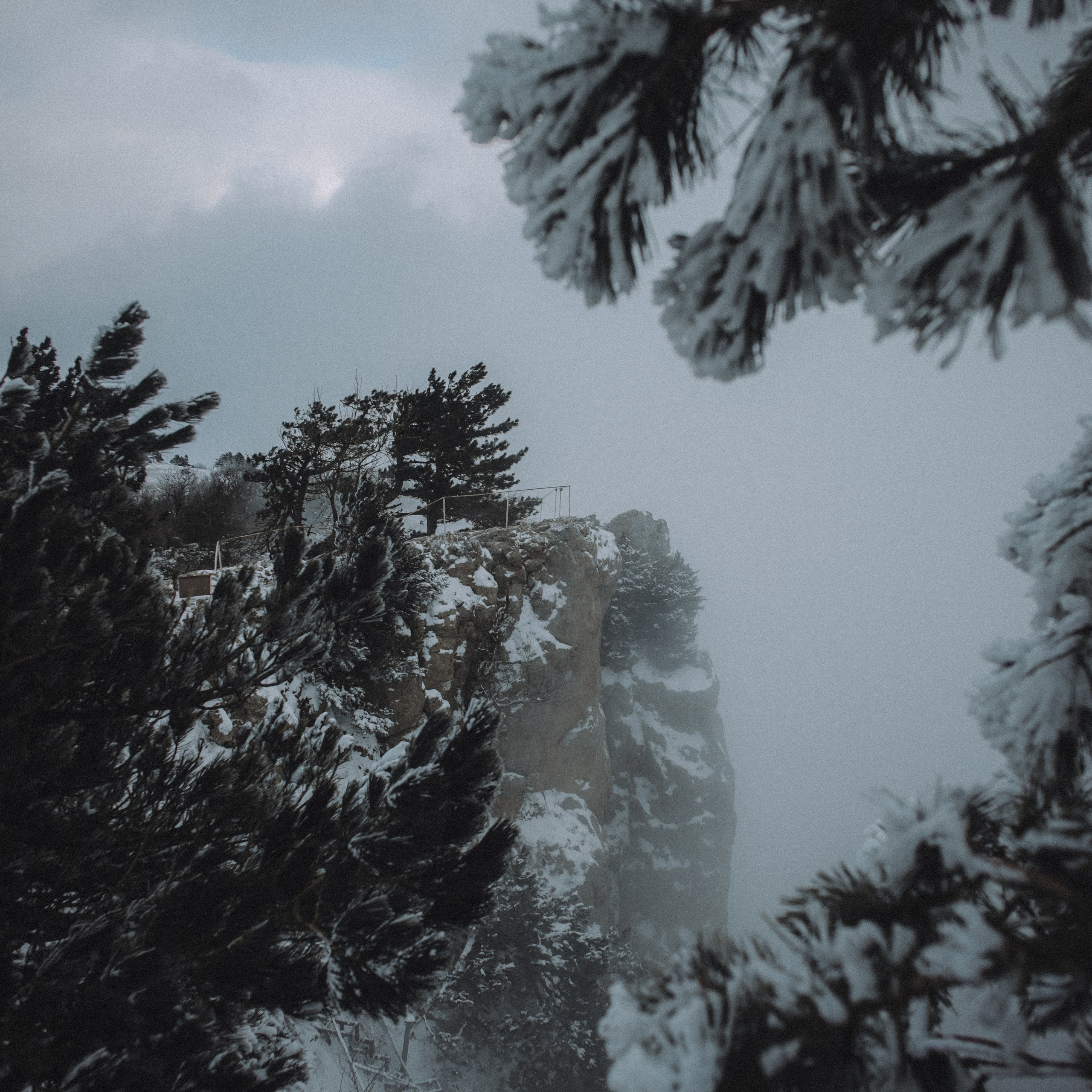 Снежная сказка на Ай-Петри. Валерия Вдовина | атмосферные фото-путешествия по Крыму