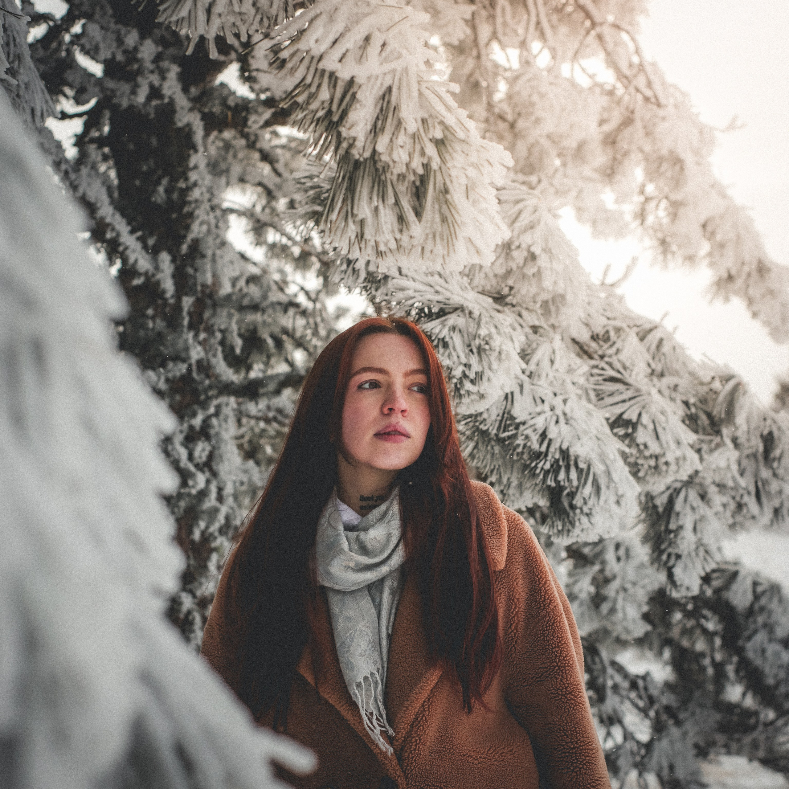Снежная сказка на Ай-Петри. Валерия Вдовина | атмосферные фото-путешествия по Крыму