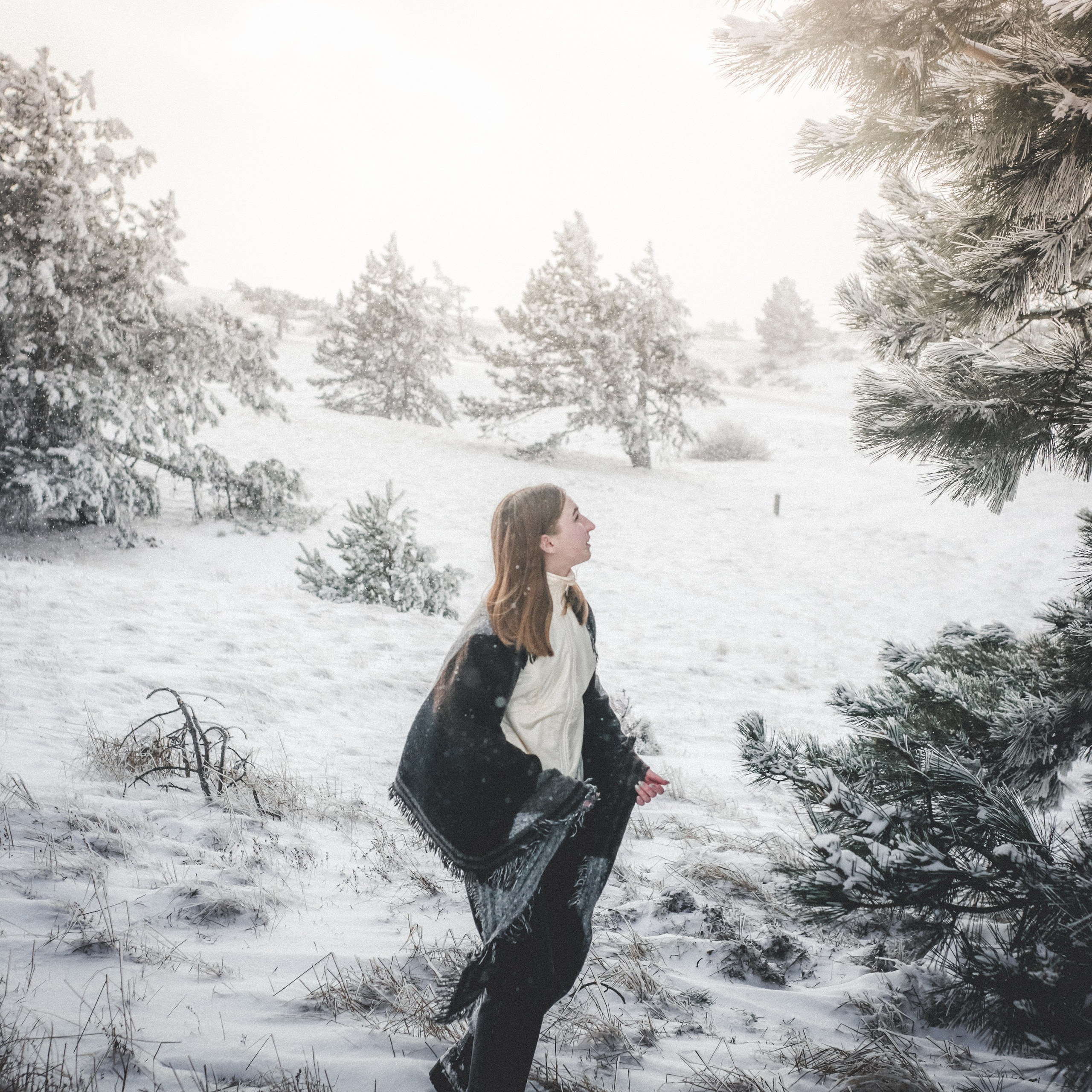 Снежная сказка на Ай-Петри. Валерия Вдовина | атмосферные фото-путешествия по Крыму