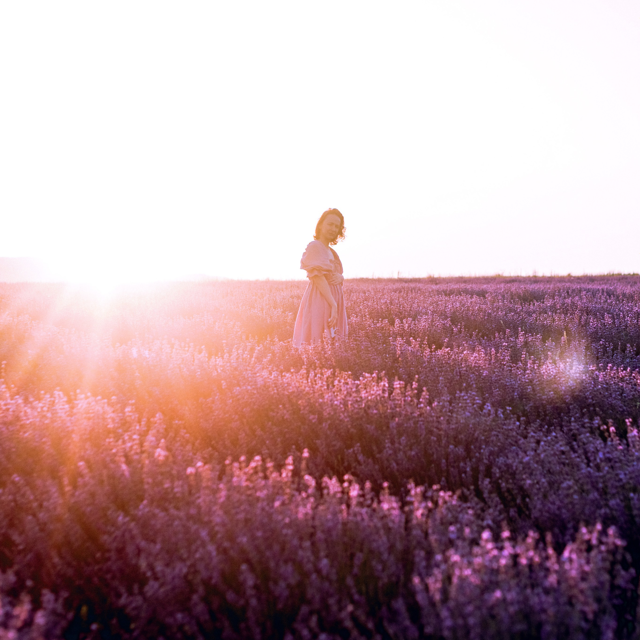 Поле лаванды на рассвете. Валерия Вдовина | атмосферные фото-путешествия по Крыму