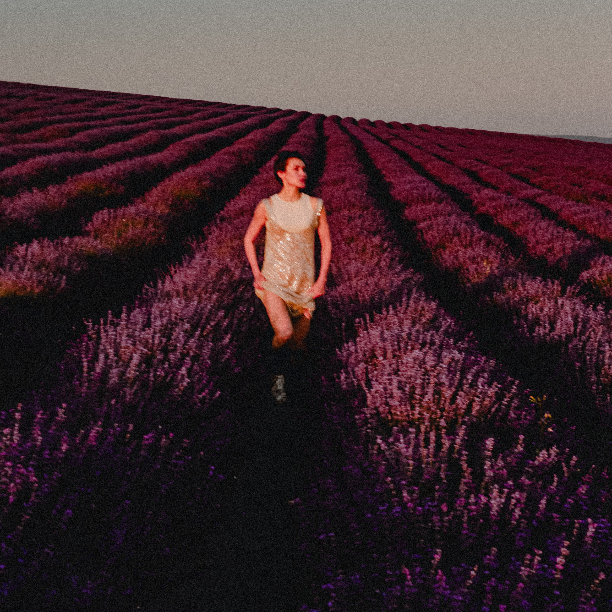 Поле лаванды на рассвете. Валерия Вдовина | атмосферные фото-путешествия по Крыму