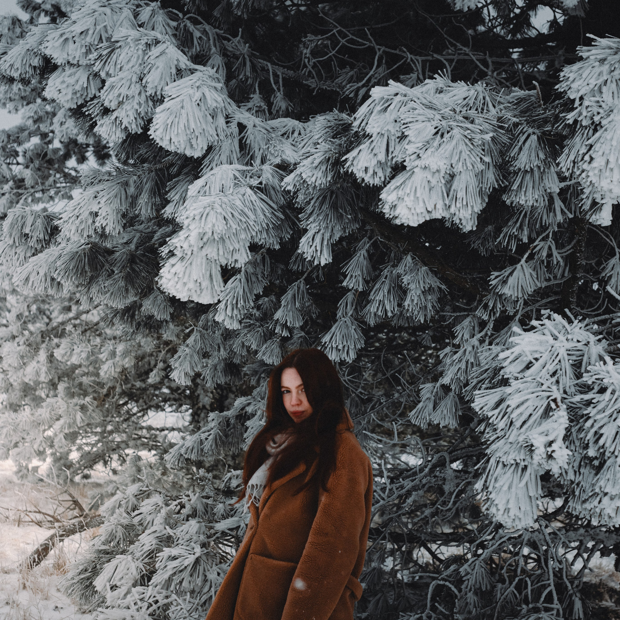 Снежная сказка на Ай-Петри. Валерия Вдовина | атмосферные фото-путешествия по Крыму