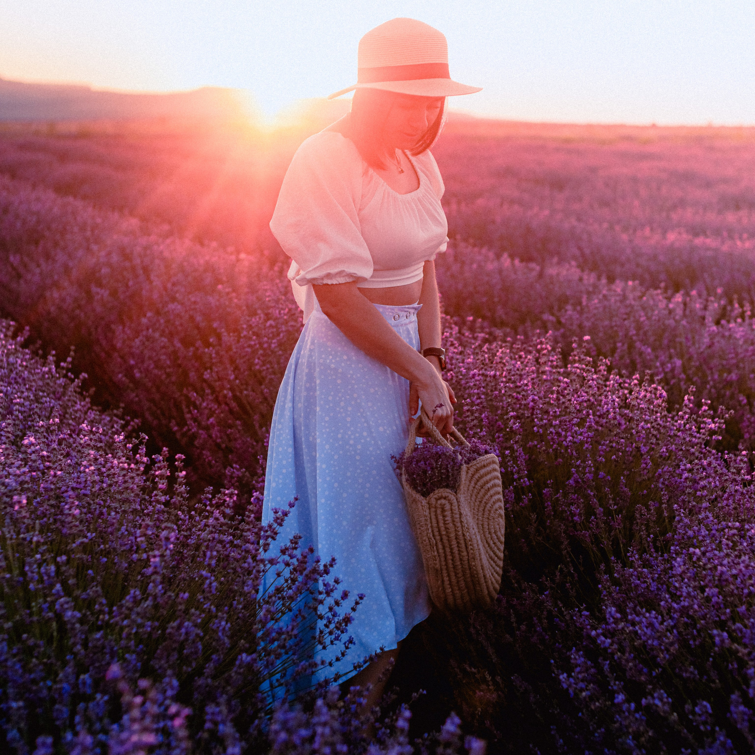 Поле лаванды на рассвете. Валерия Вдовина | атмосферные фото-путешествия по Крыму