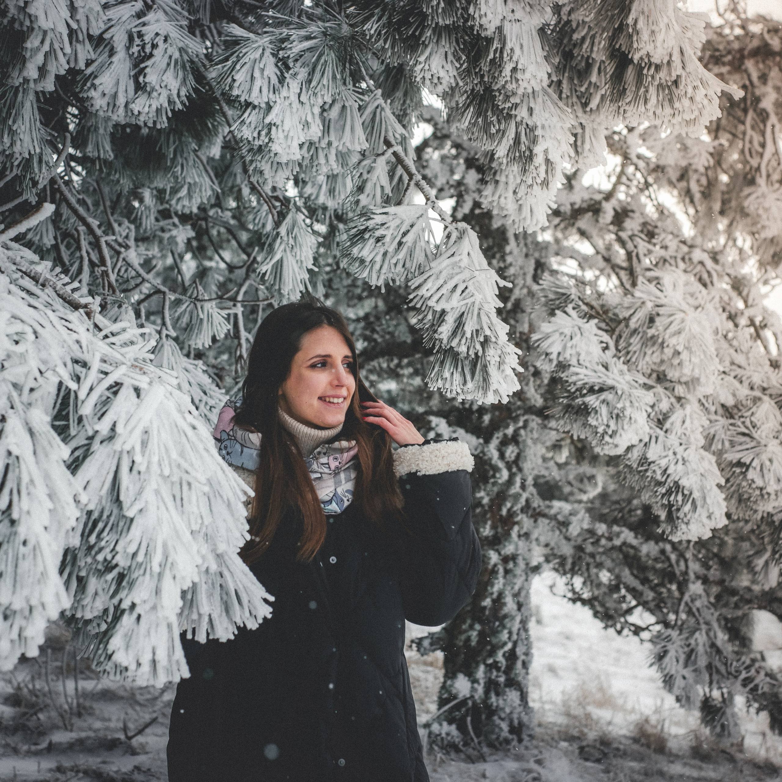 Снежная сказка на Ай-Петри. Валерия Вдовина | атмосферные фото-путешествия по Крыму