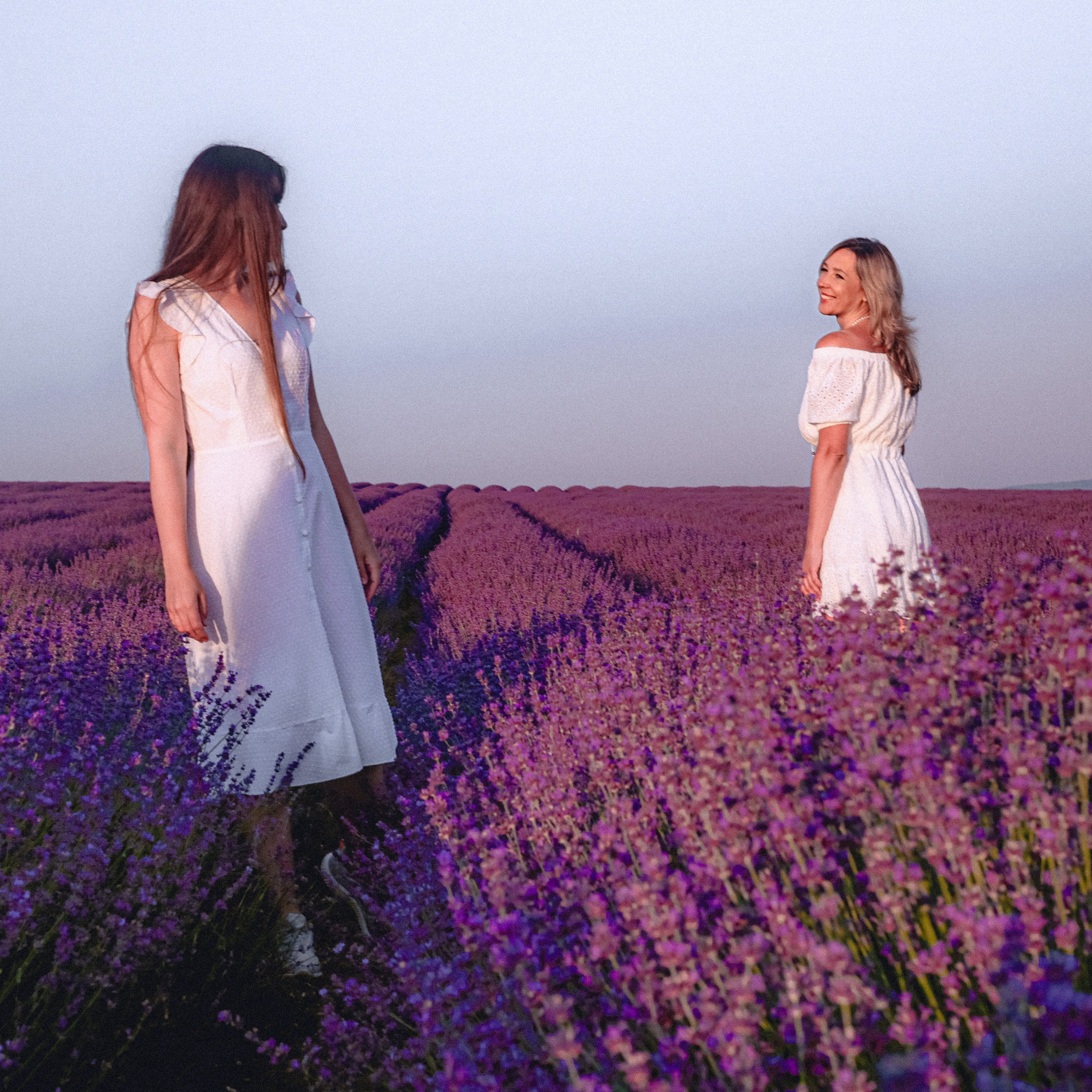 Поле лаванды на рассвете. Валерия Вдовина | атмосферные фото-путешествия по Крыму
