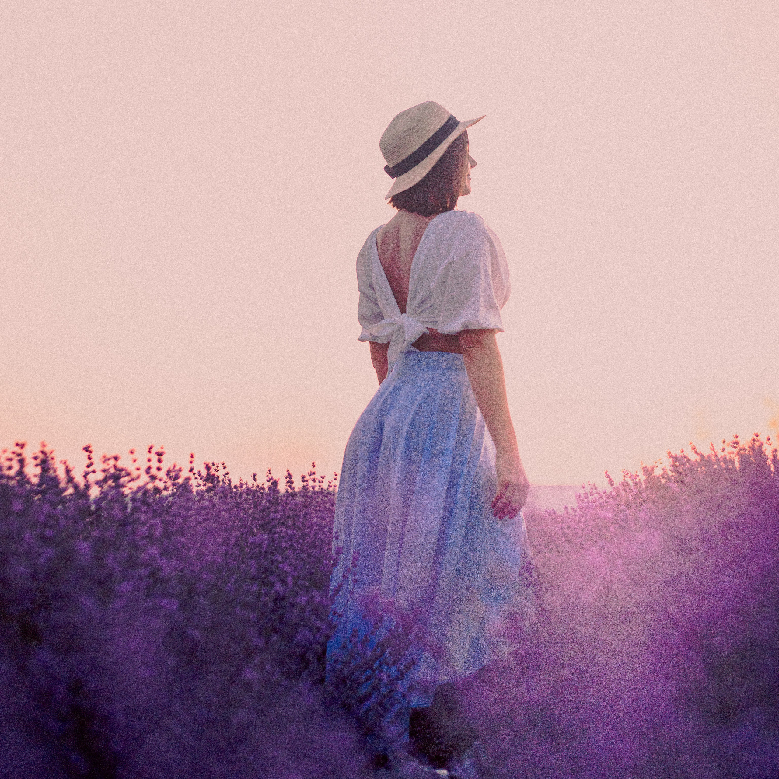 Поле лаванды на рассвете. Валерия Вдовина | атмосферные фото-путешествия по Крыму