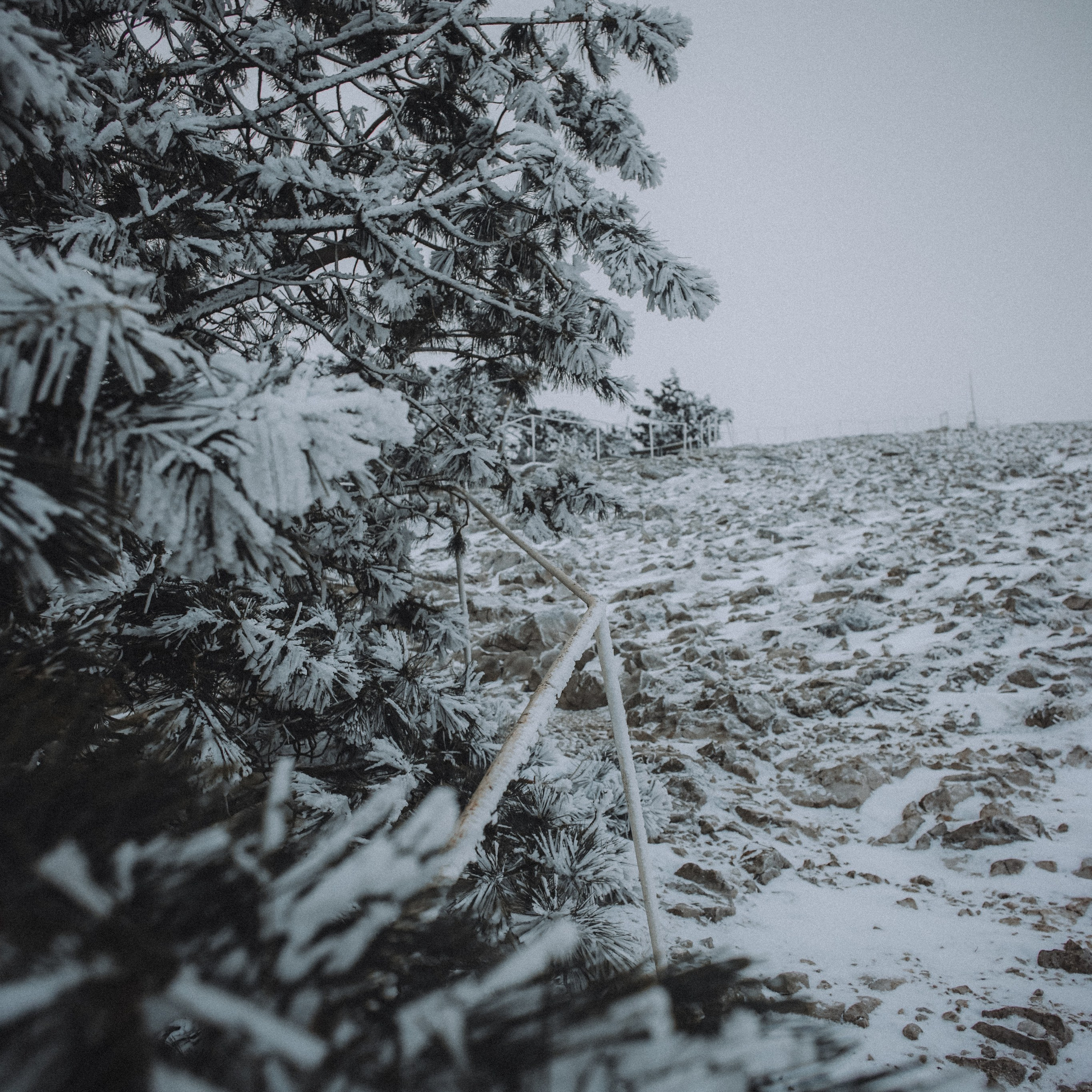 Снежная сказка на Ай-Петри. Валерия Вдовина | атмосферные фото-путешествия по Крыму