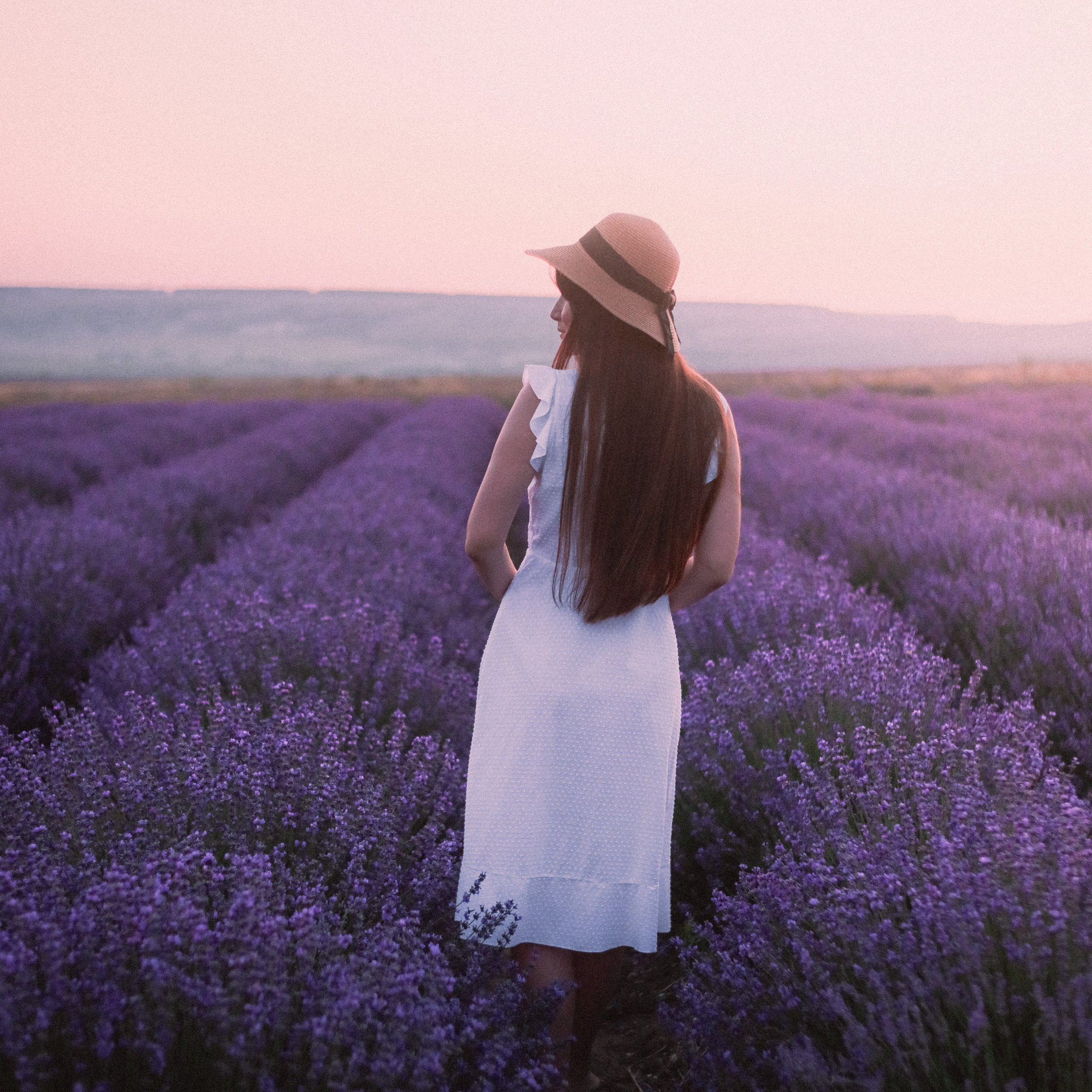 Поле лаванды на рассвете. Валерия Вдовина | атмосферные фото-путешествия по Крыму