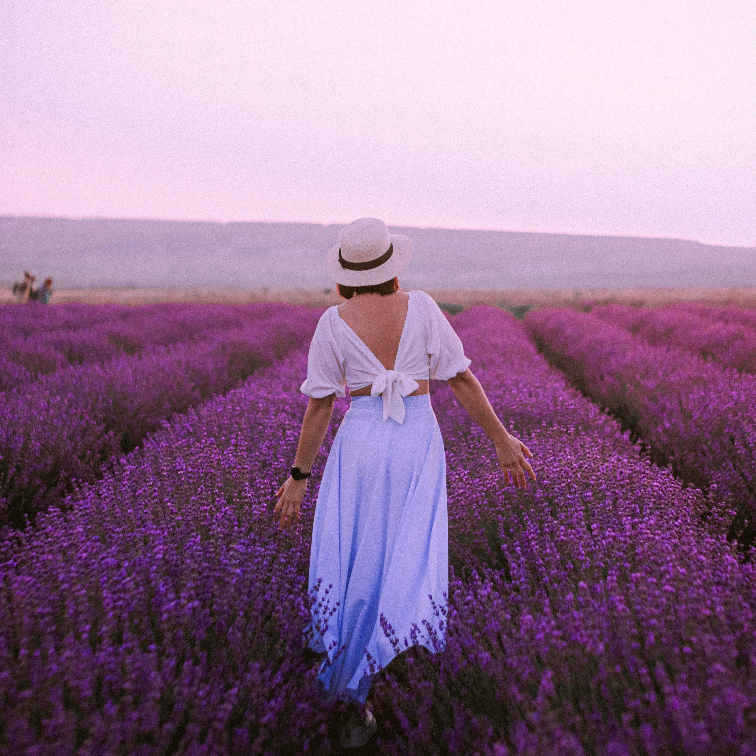 Поле лаванды на рассвете. Валерия Вдовина | атмосферные фото-путешествия по Крыму