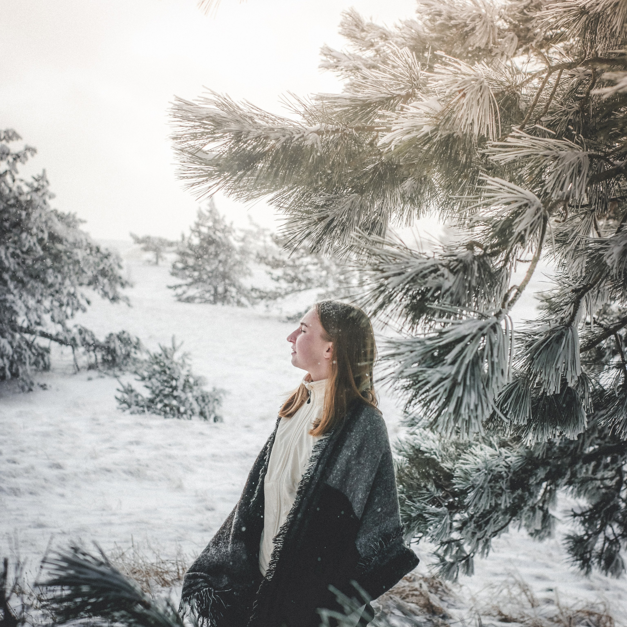 Снежная сказка на Ай-Петри. Валерия Вдовина | атмосферные фото-путешествия по Крыму