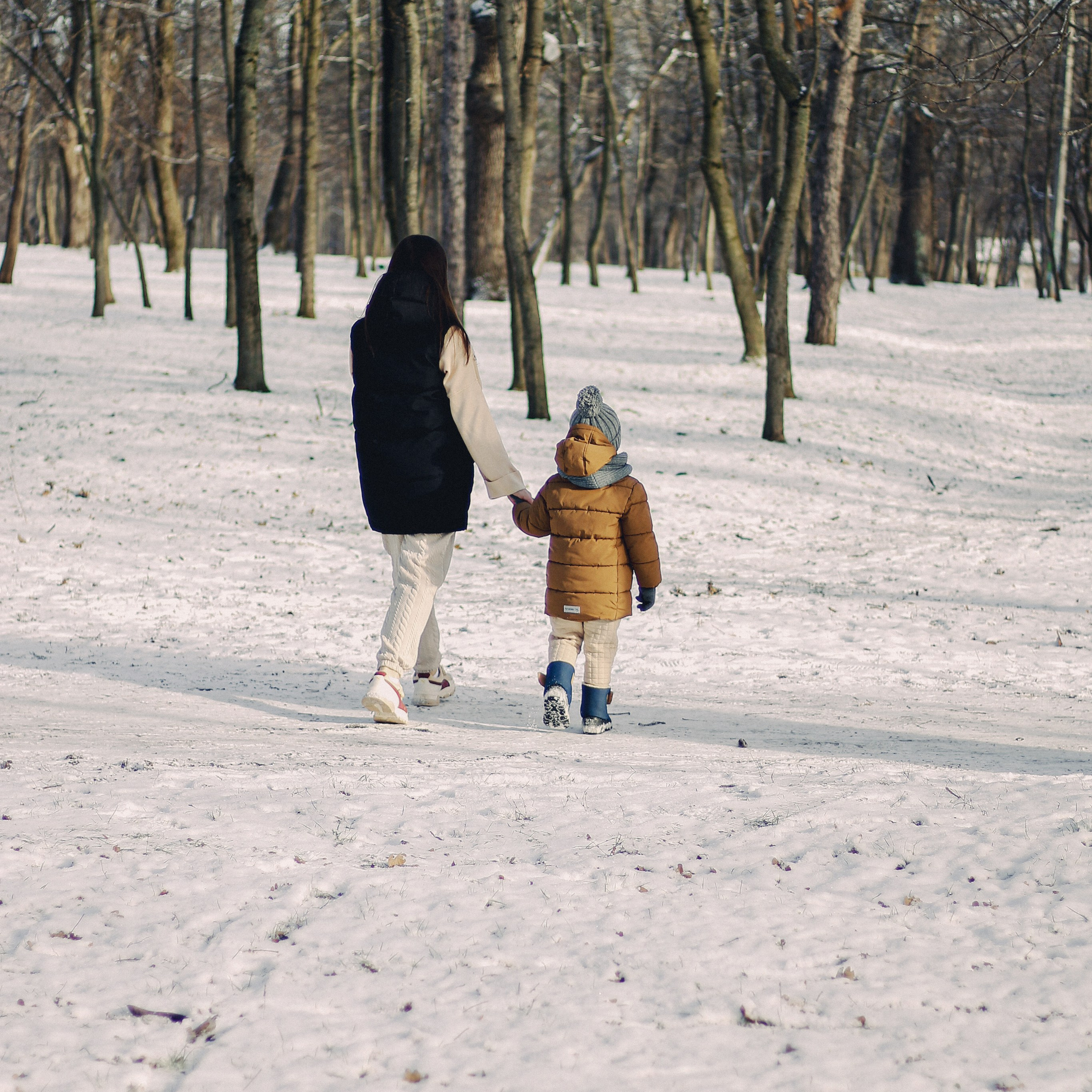 Зимний Краснодар