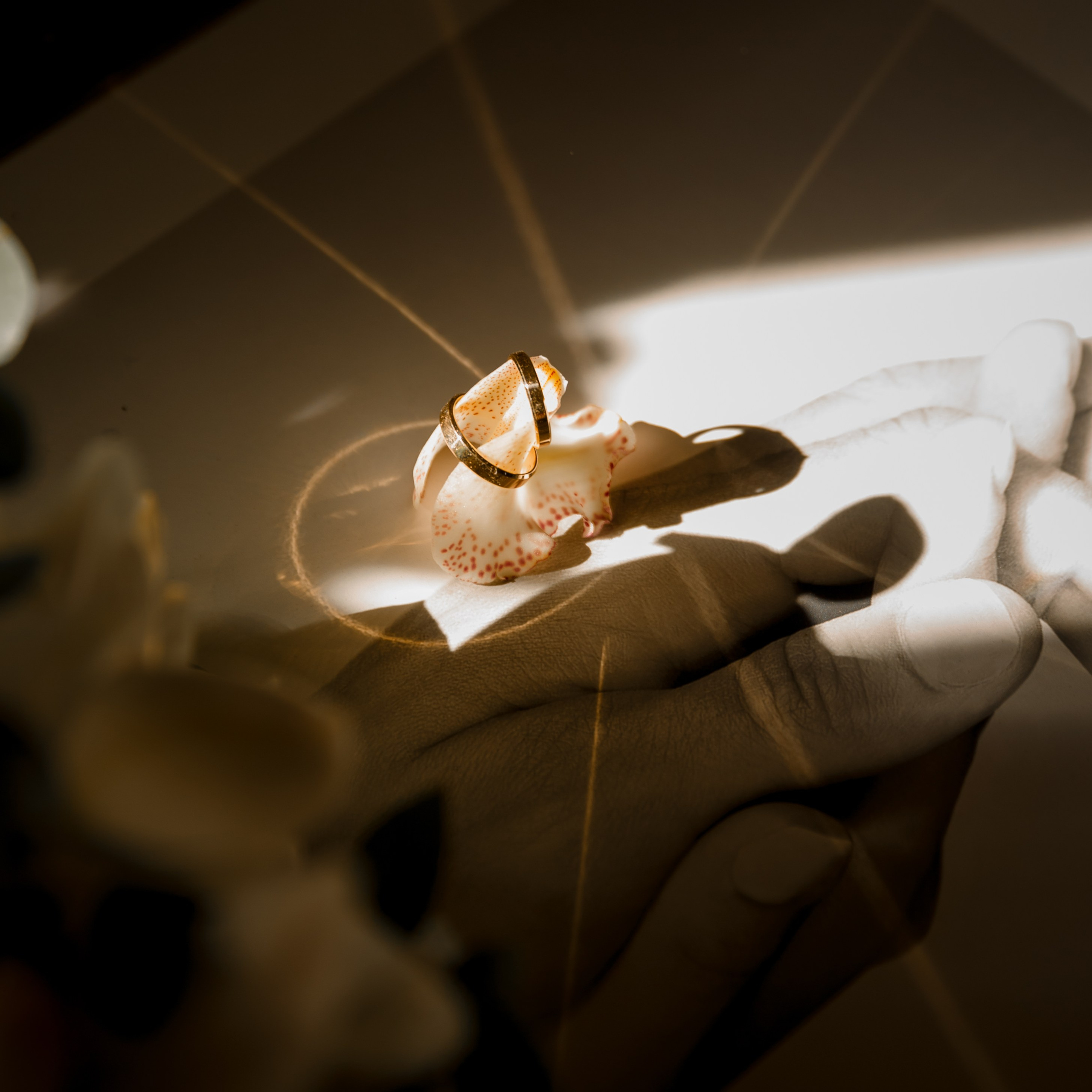 Олег и Даша