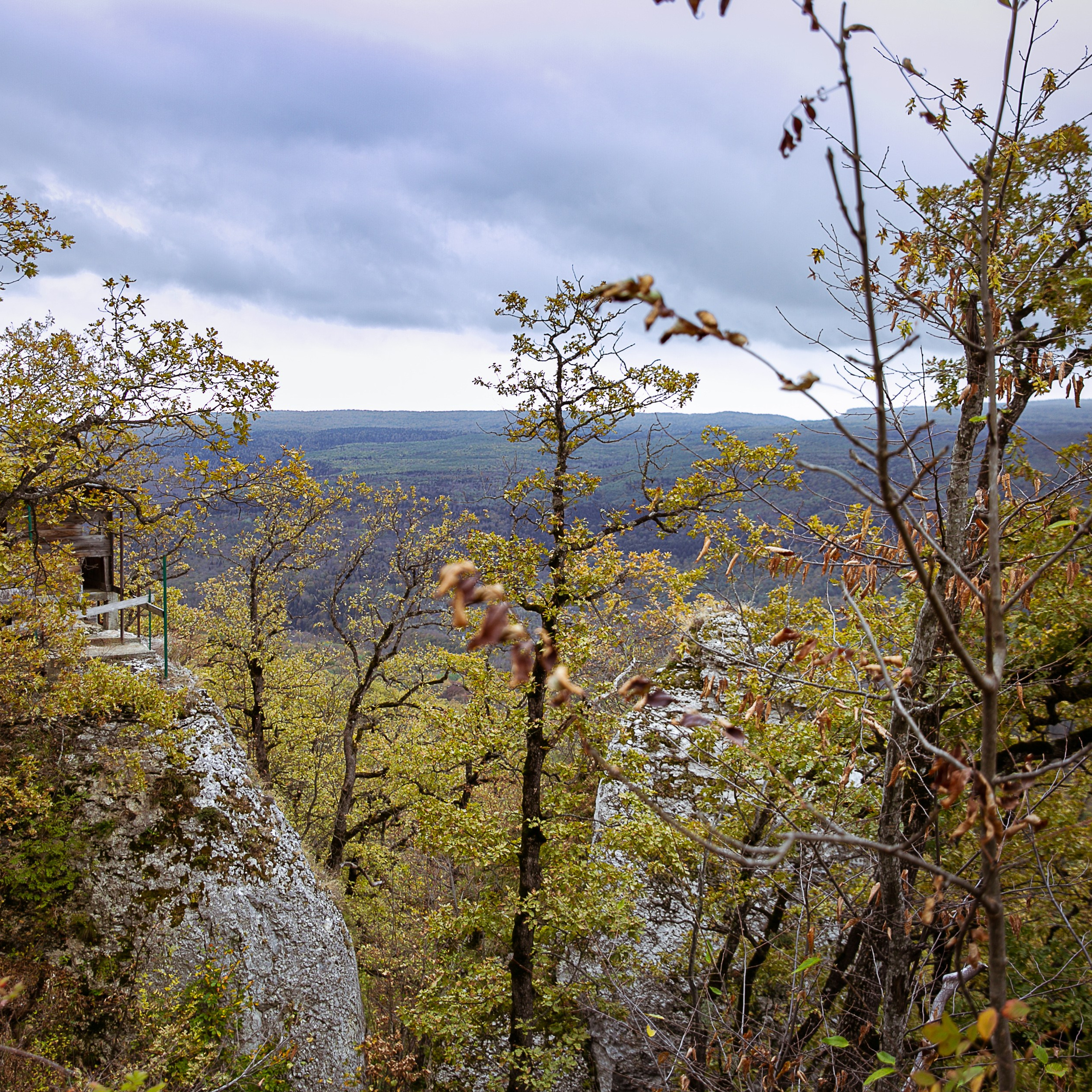 Отзывы. Ваш фотограф Любовь Чистякова