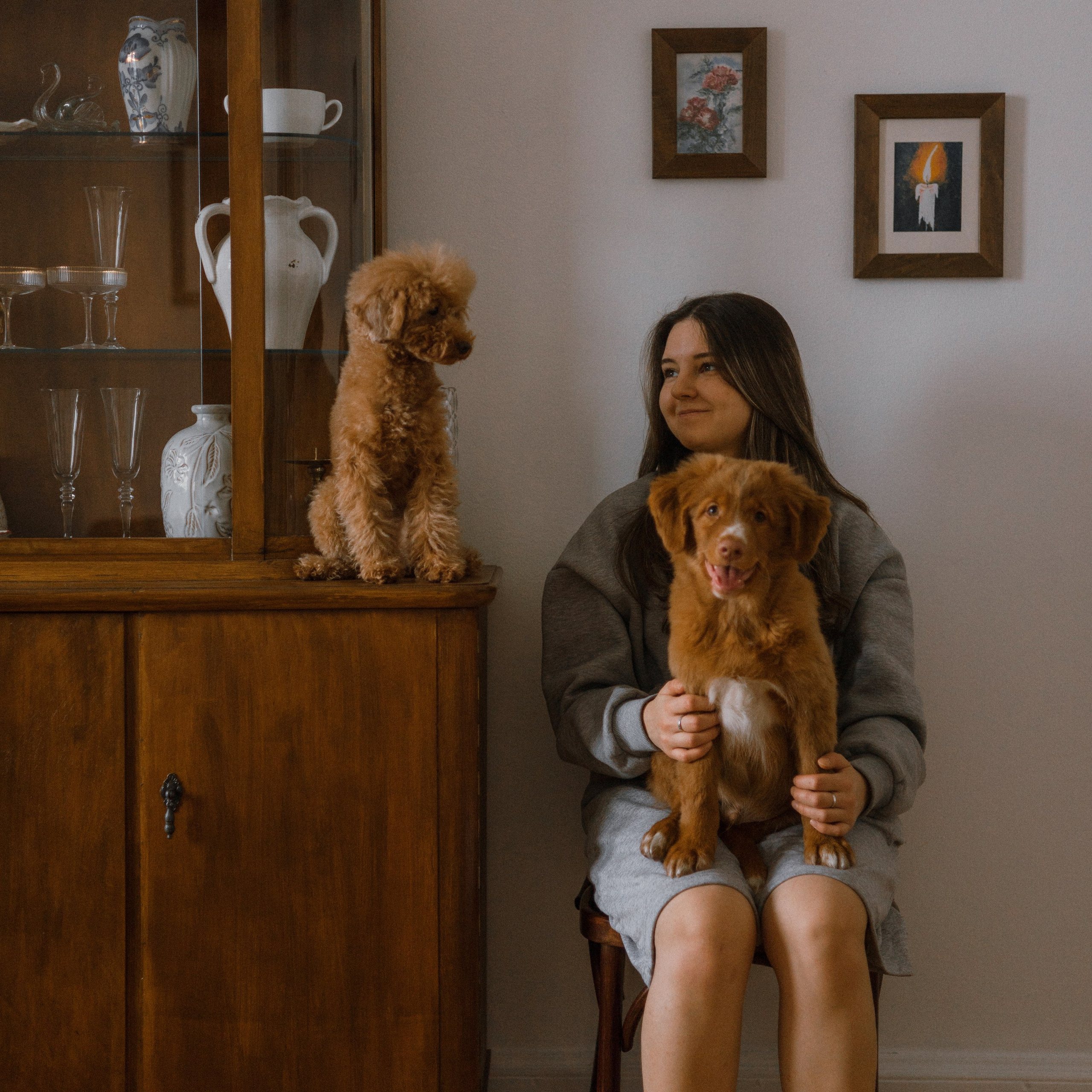 Маша, Одди и Нэвил