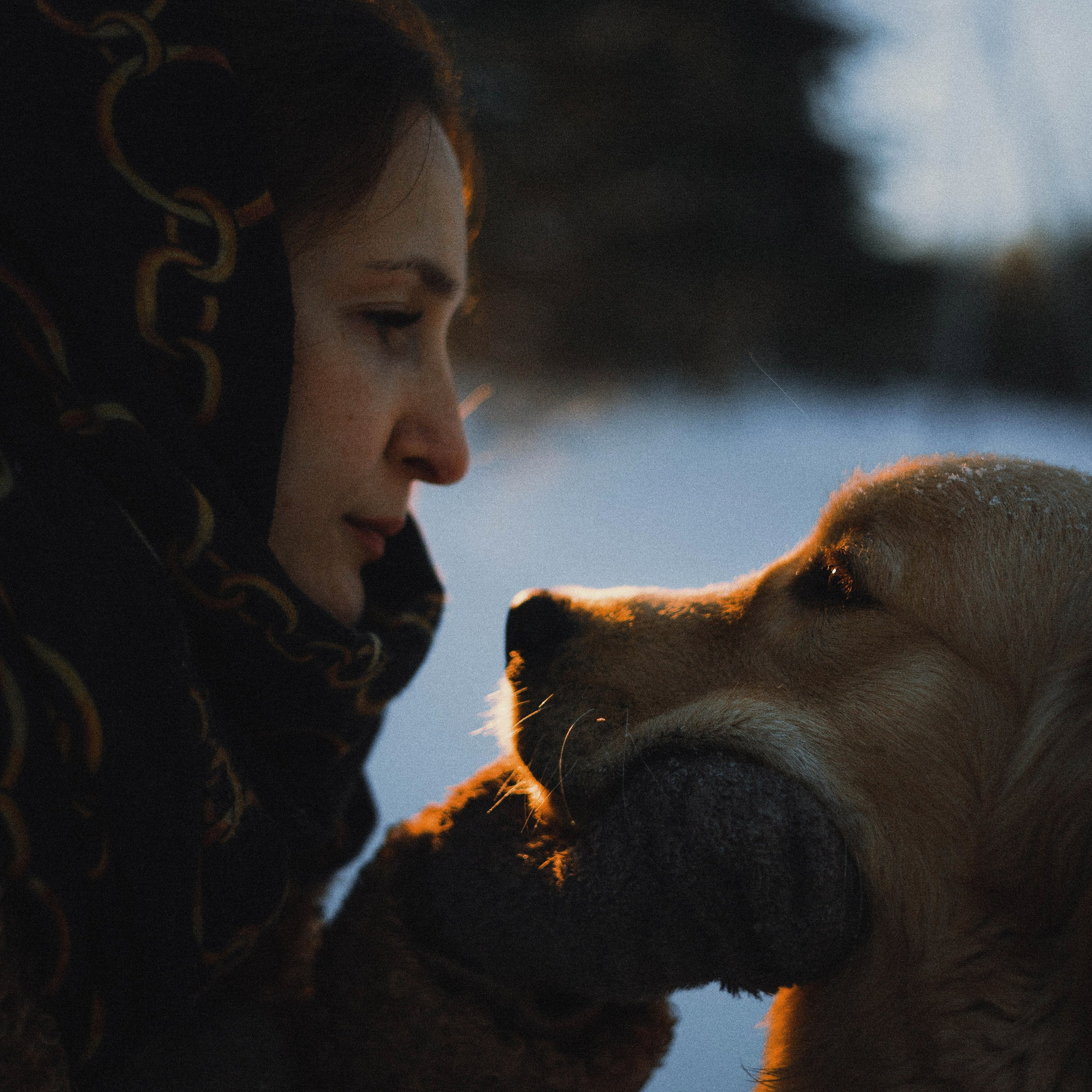 Отзывы. Фотограф-анималист Богданова Полина
