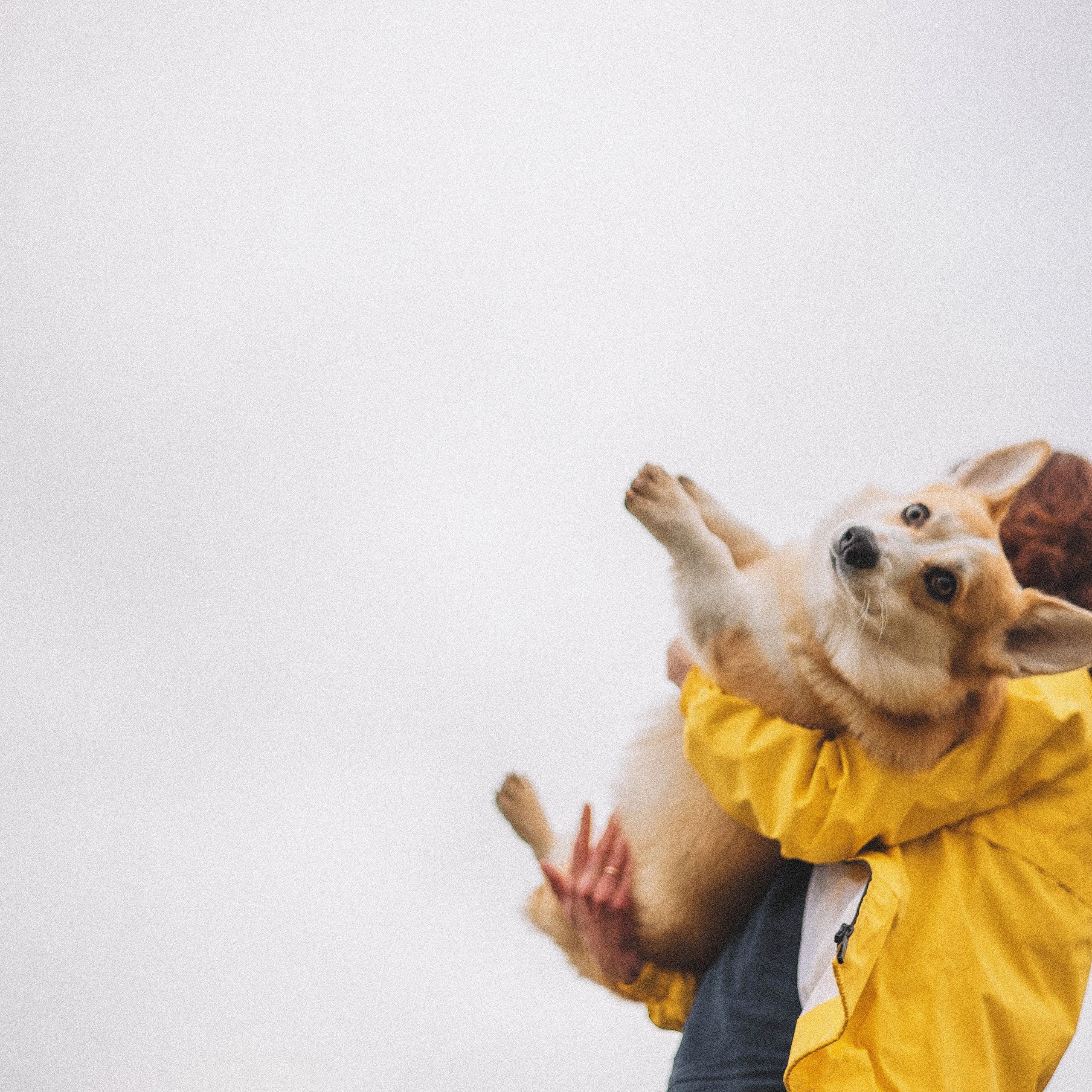 Отзывы. Фотограф-анималист Богданова Полина