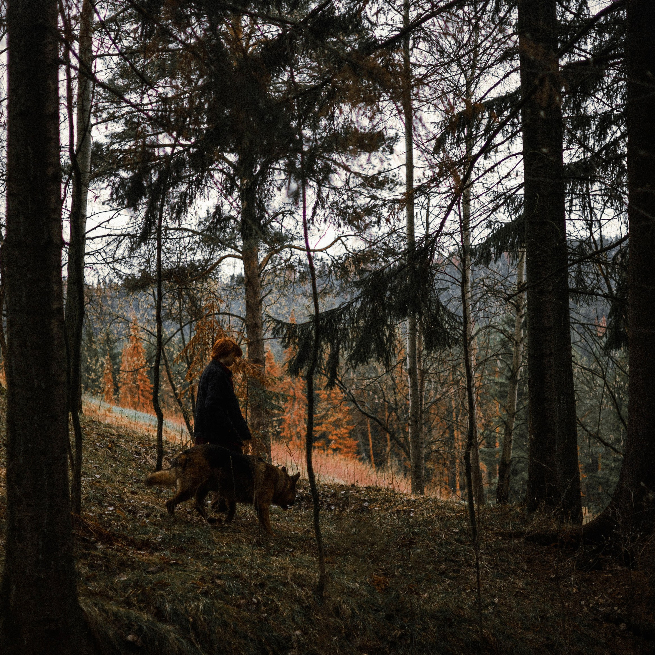 Лера и Ральф