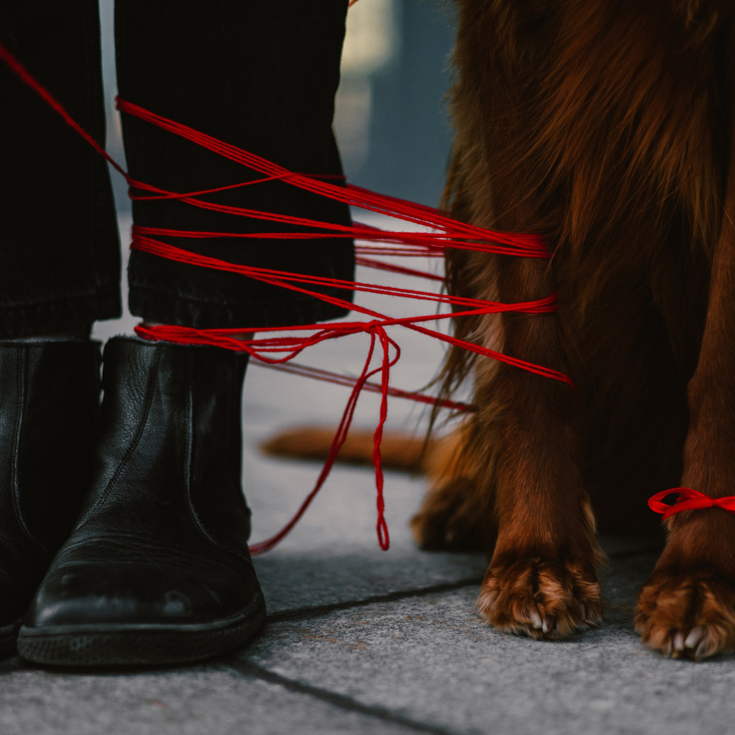 Маша и Лика