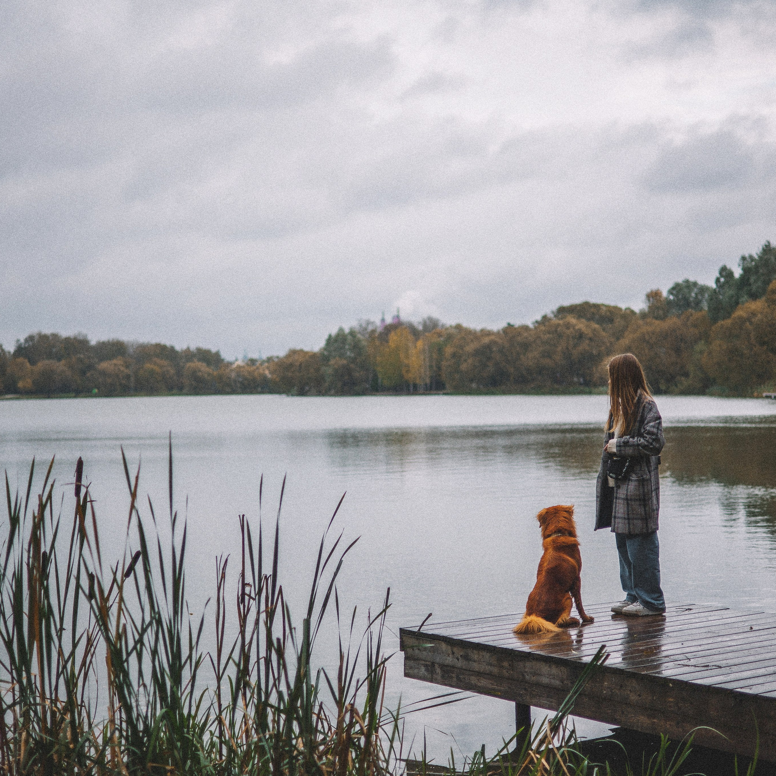 Алина и Бис