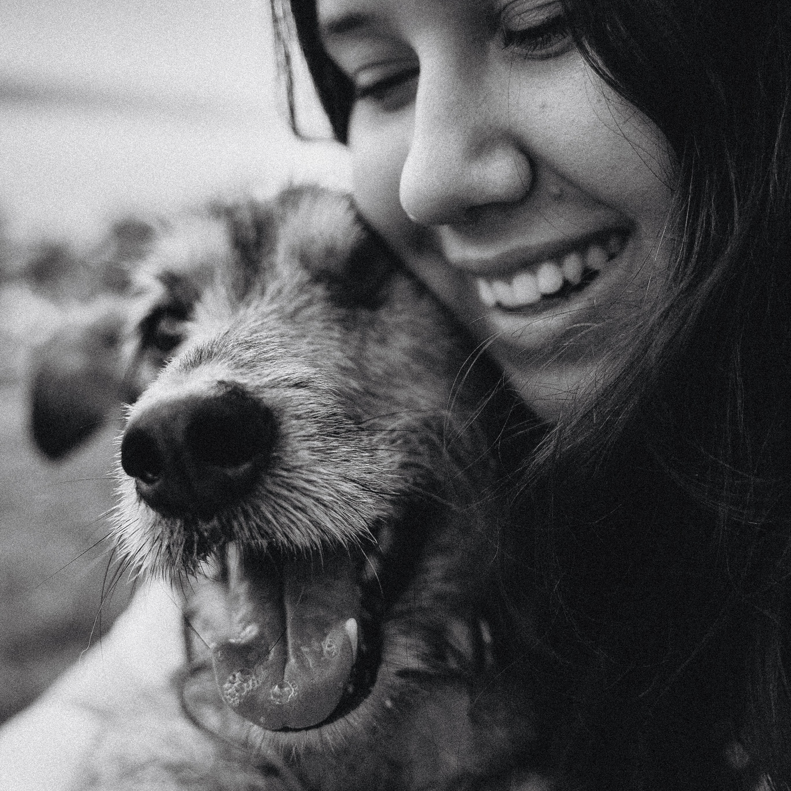 Отзывы. Фотограф-анималист Богданова Полина