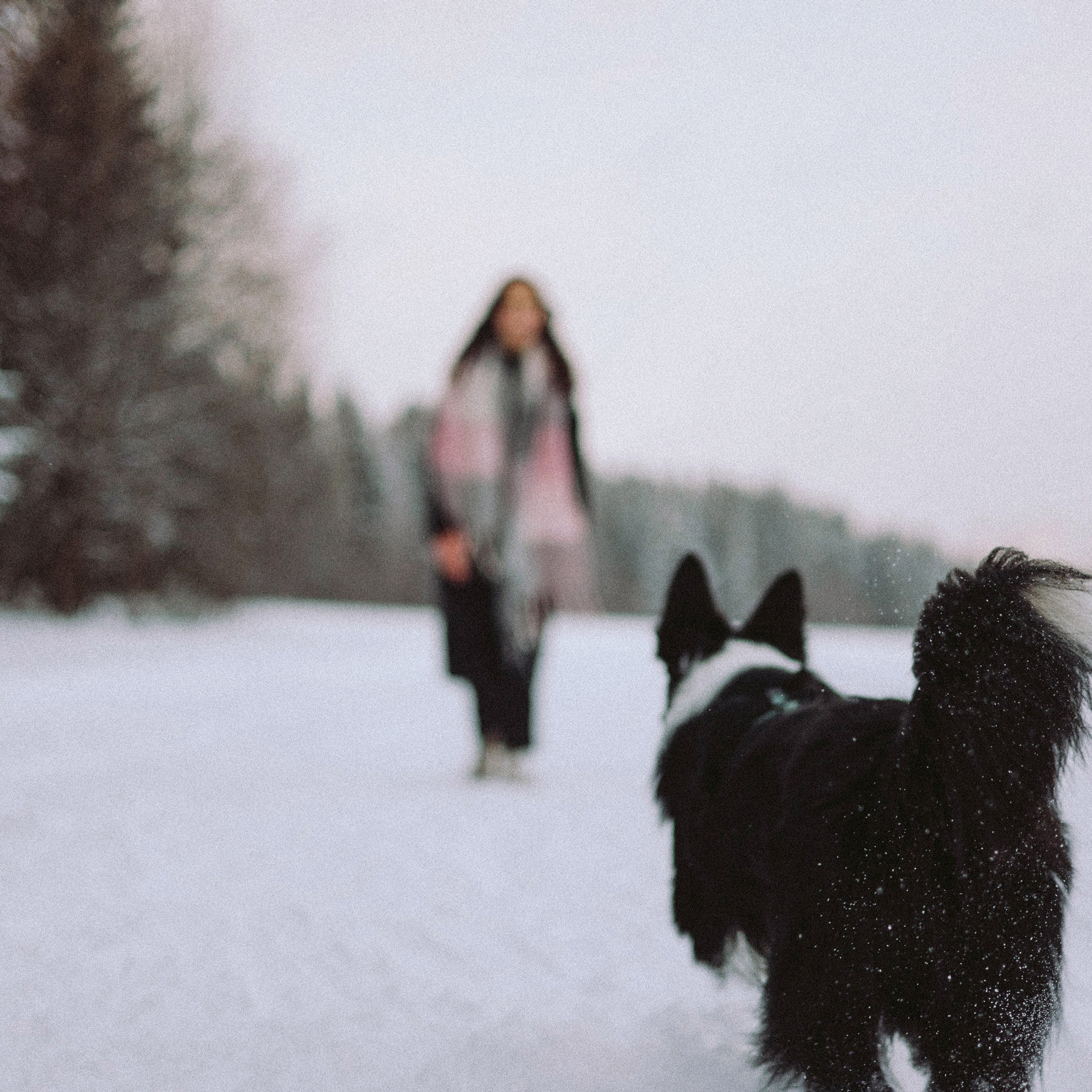 Алина и Найт