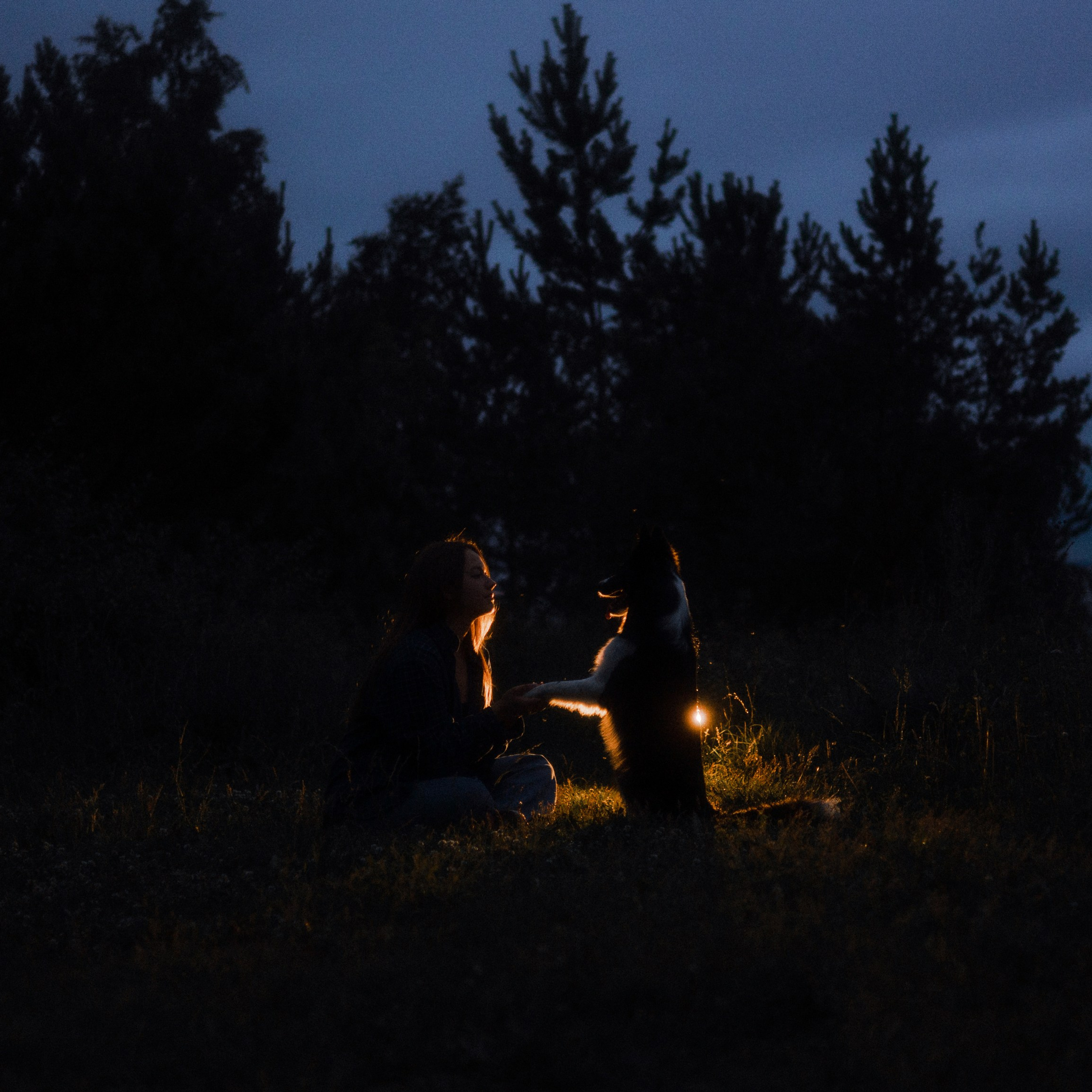 Аделя, Вандер, Шайна и Бая