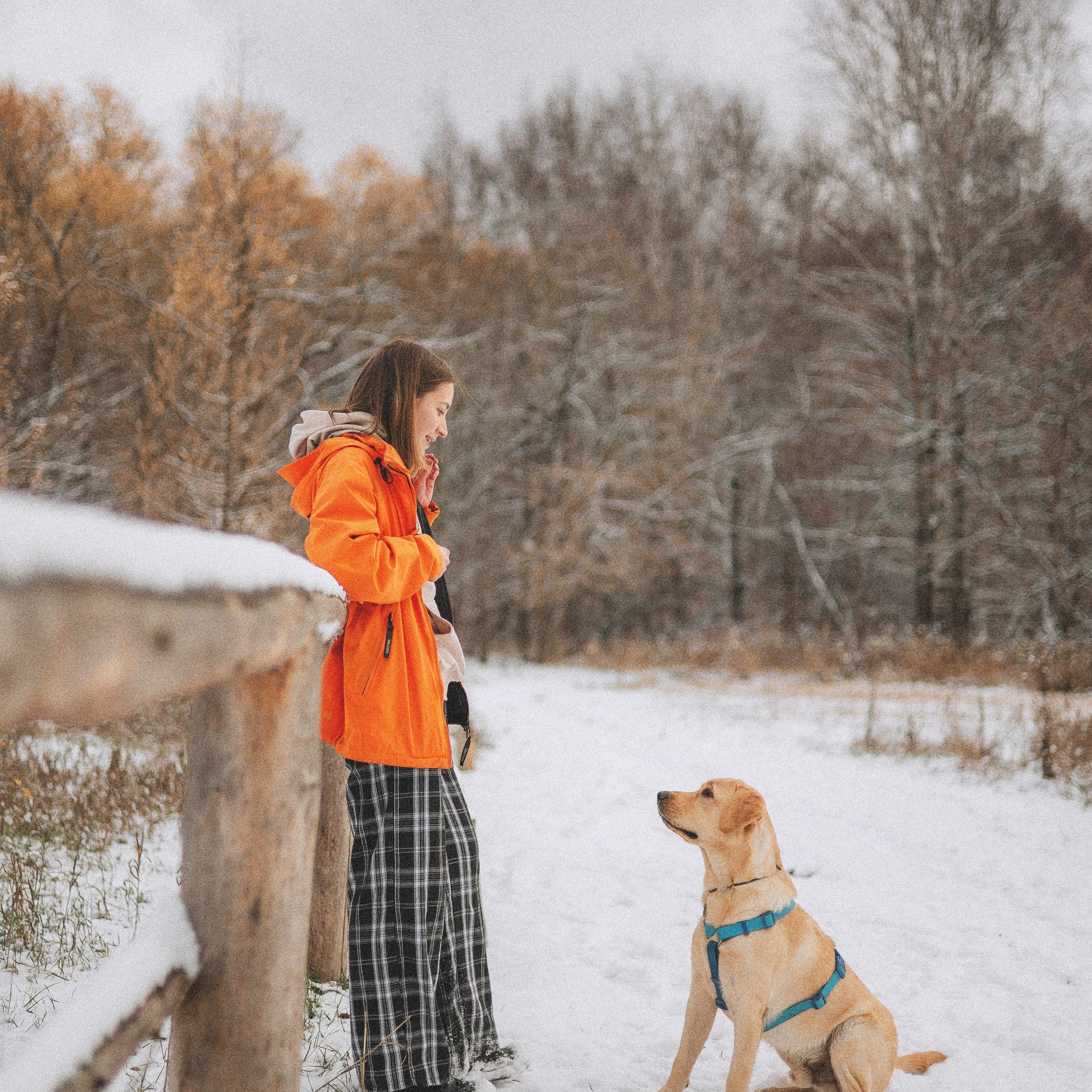 Маргарита и Варди