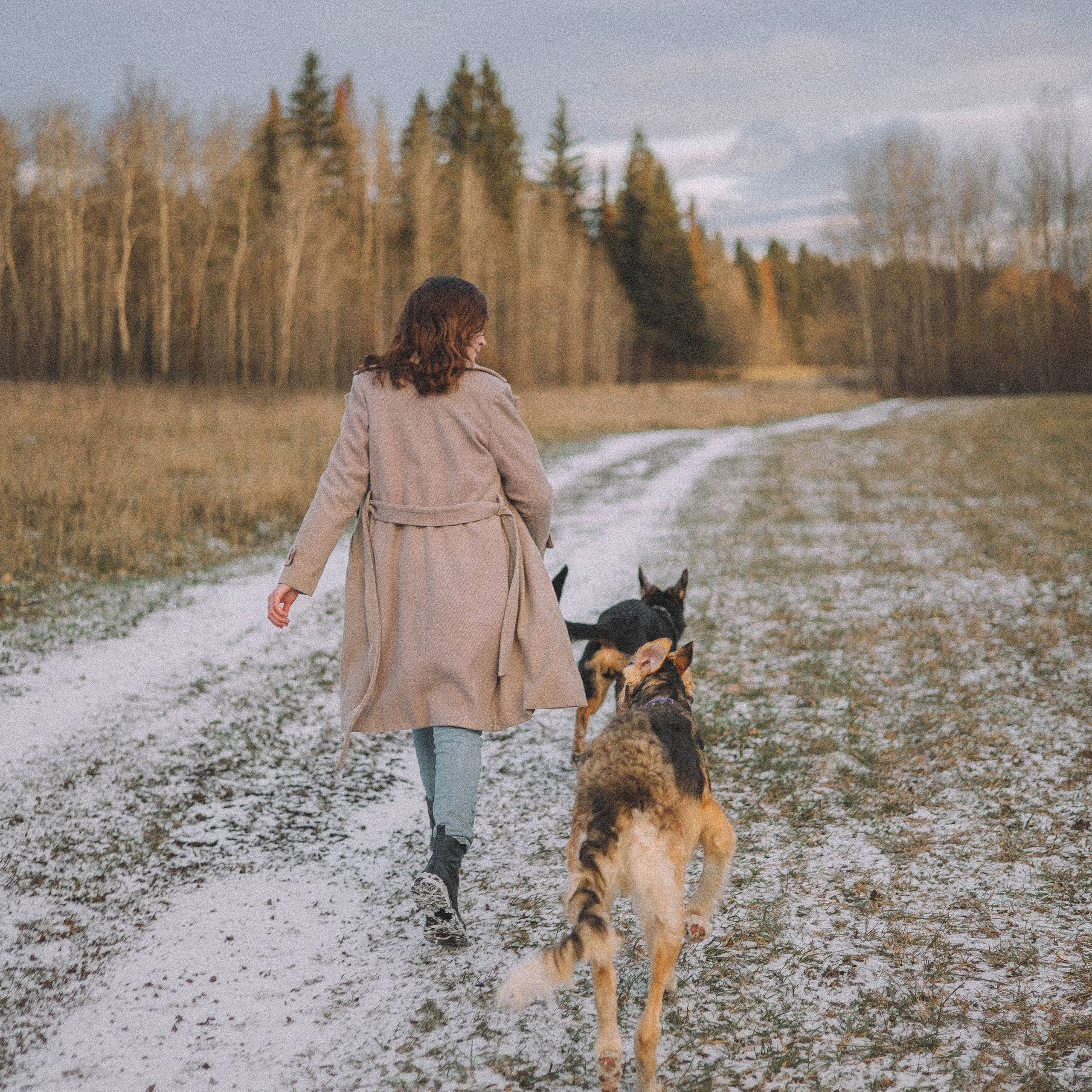 Алена, Леви и Микаса