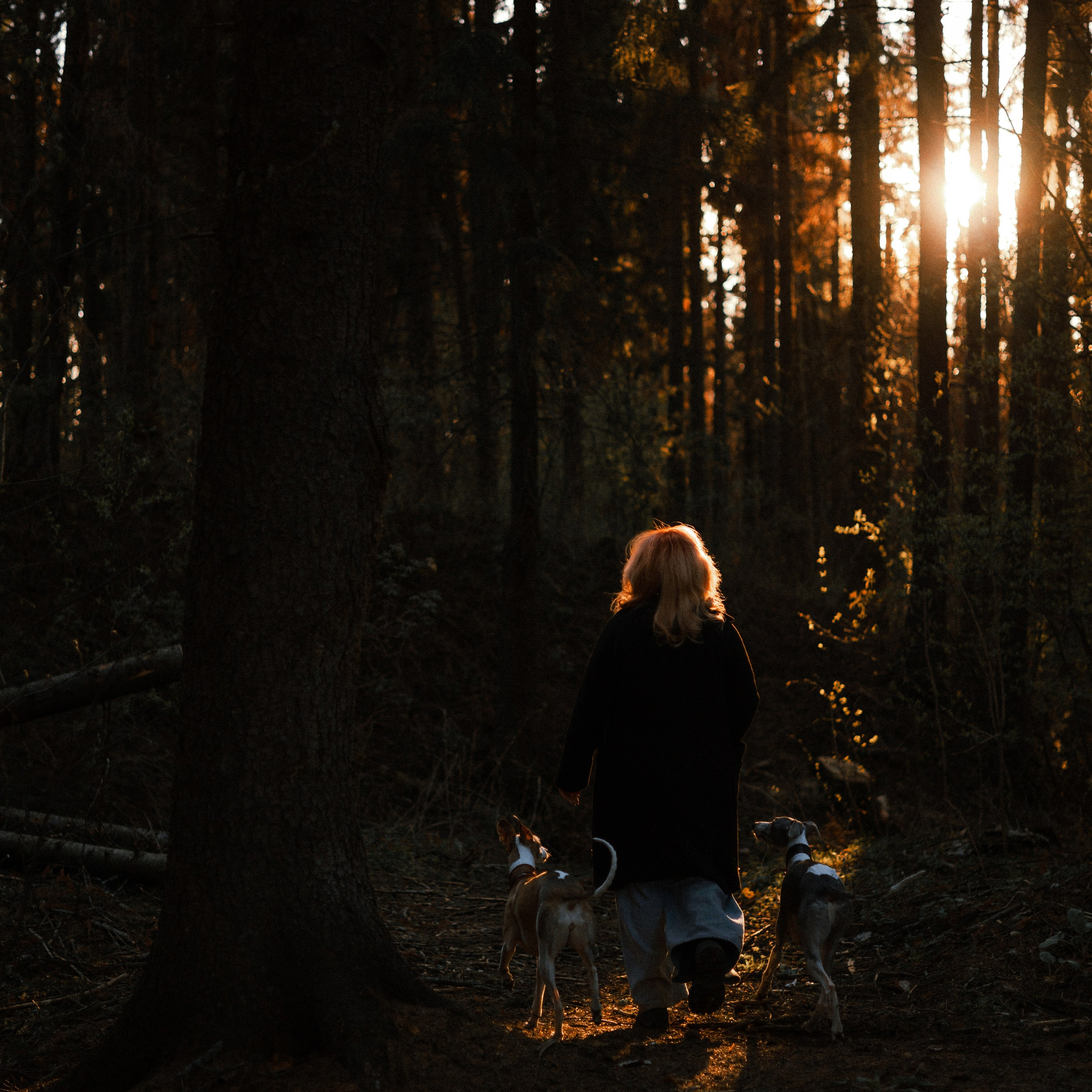 Вика, Джем и Белла