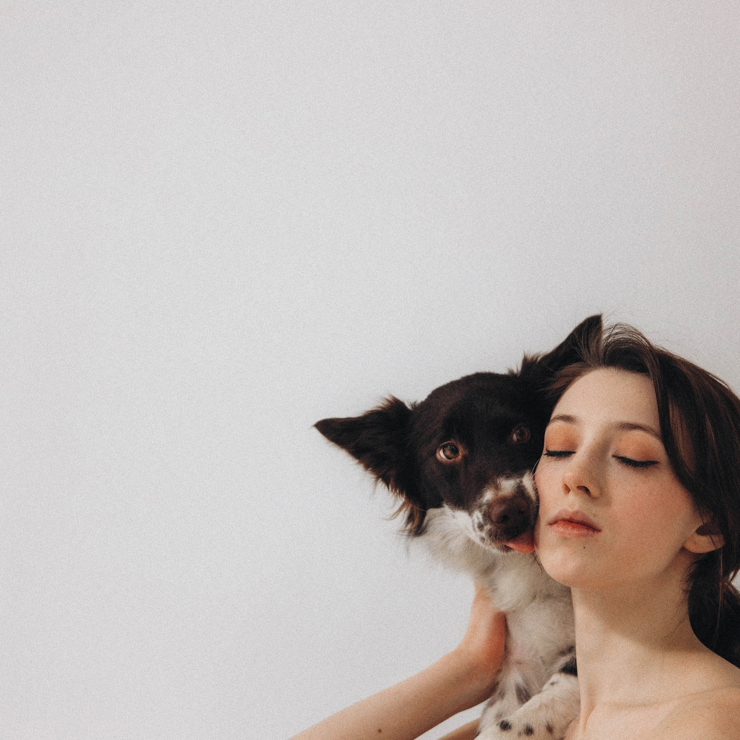 Отзывы. Фотограф-анималист Богданова Полина