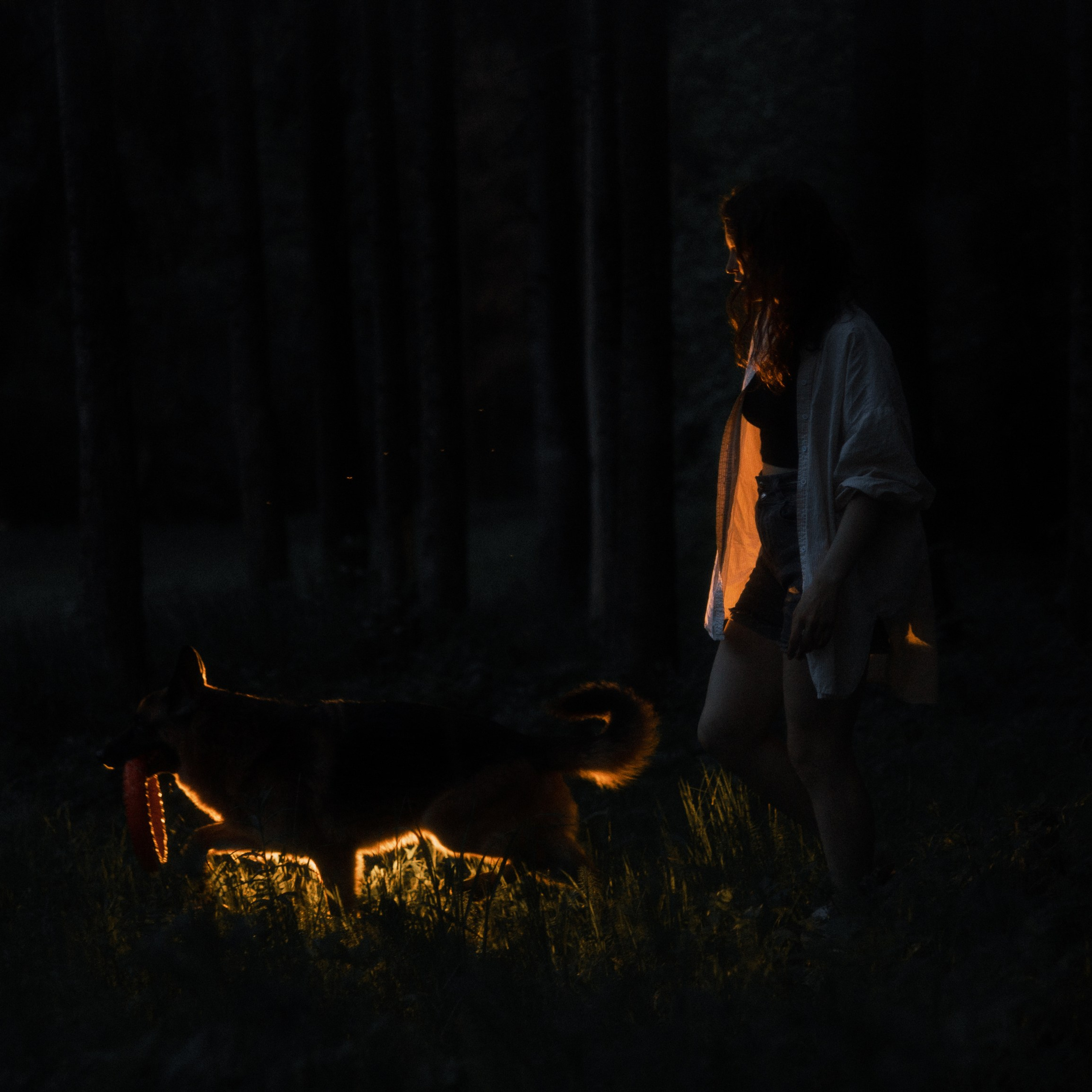 Настя, Шуня, Милка и Тигуан