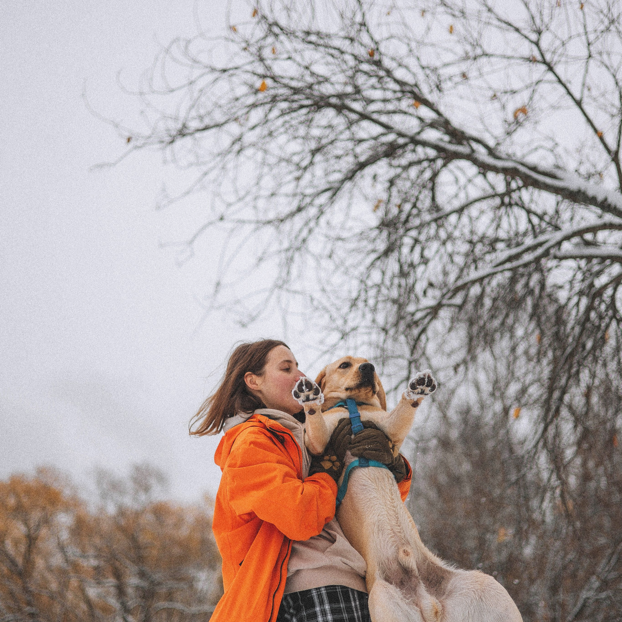 Отзывы. Фотограф-анималист Богданова Полина
