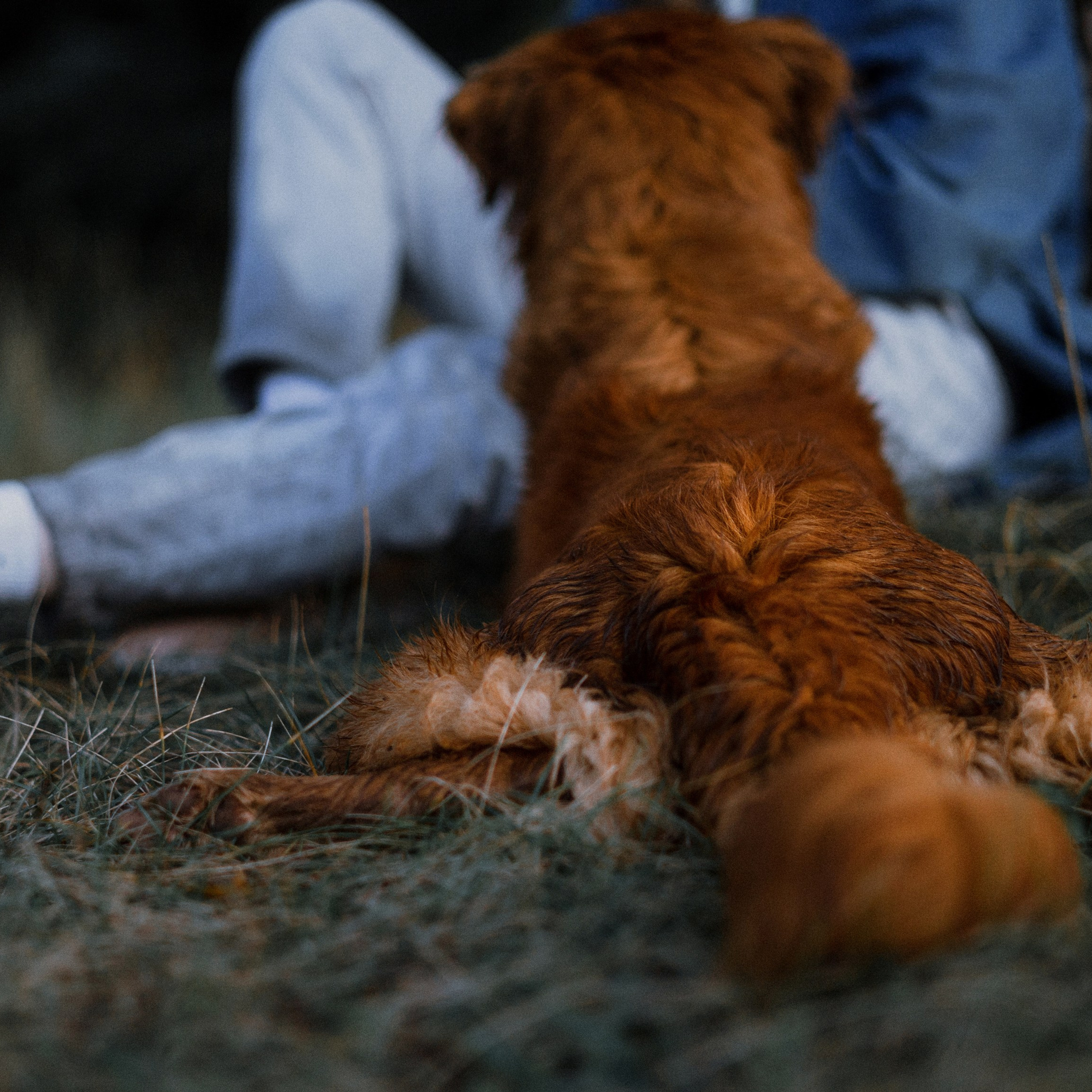 Ксюша и Мэди