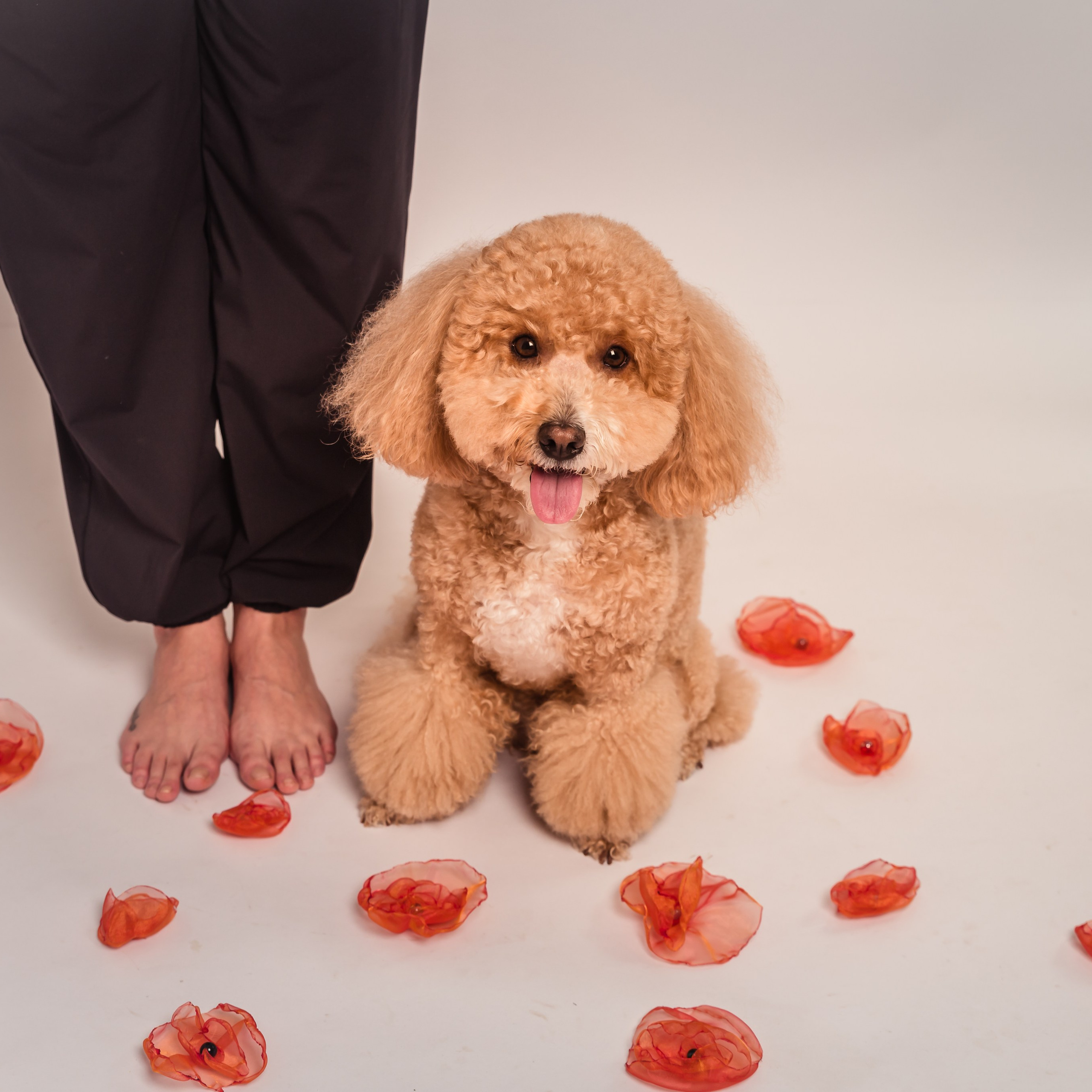 Anna&Leo -24. Professional family and children’s photographer in Izmir Irina Eron