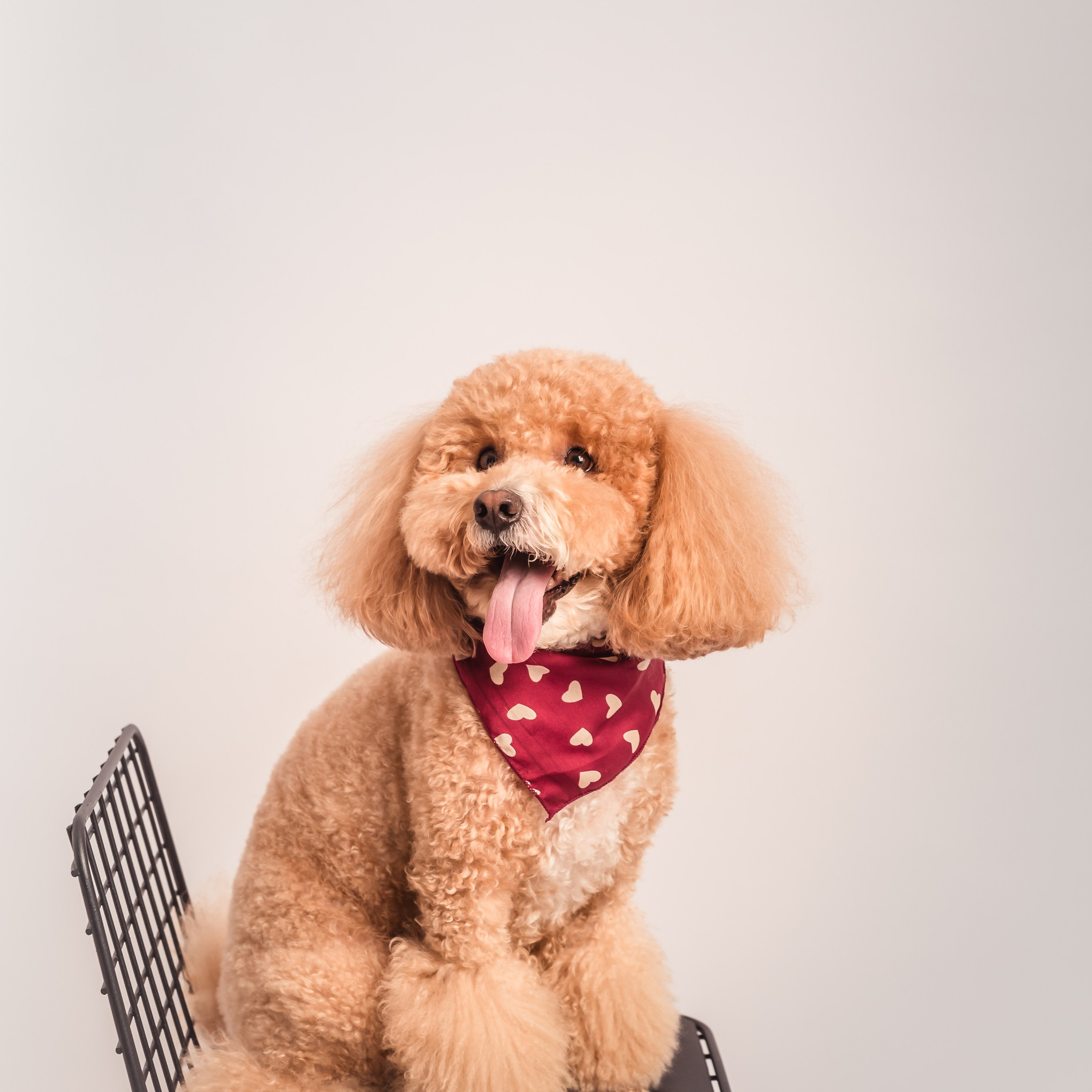 Anna&Leo -24. Professional family and children’s photographer in Izmir Irina Eron