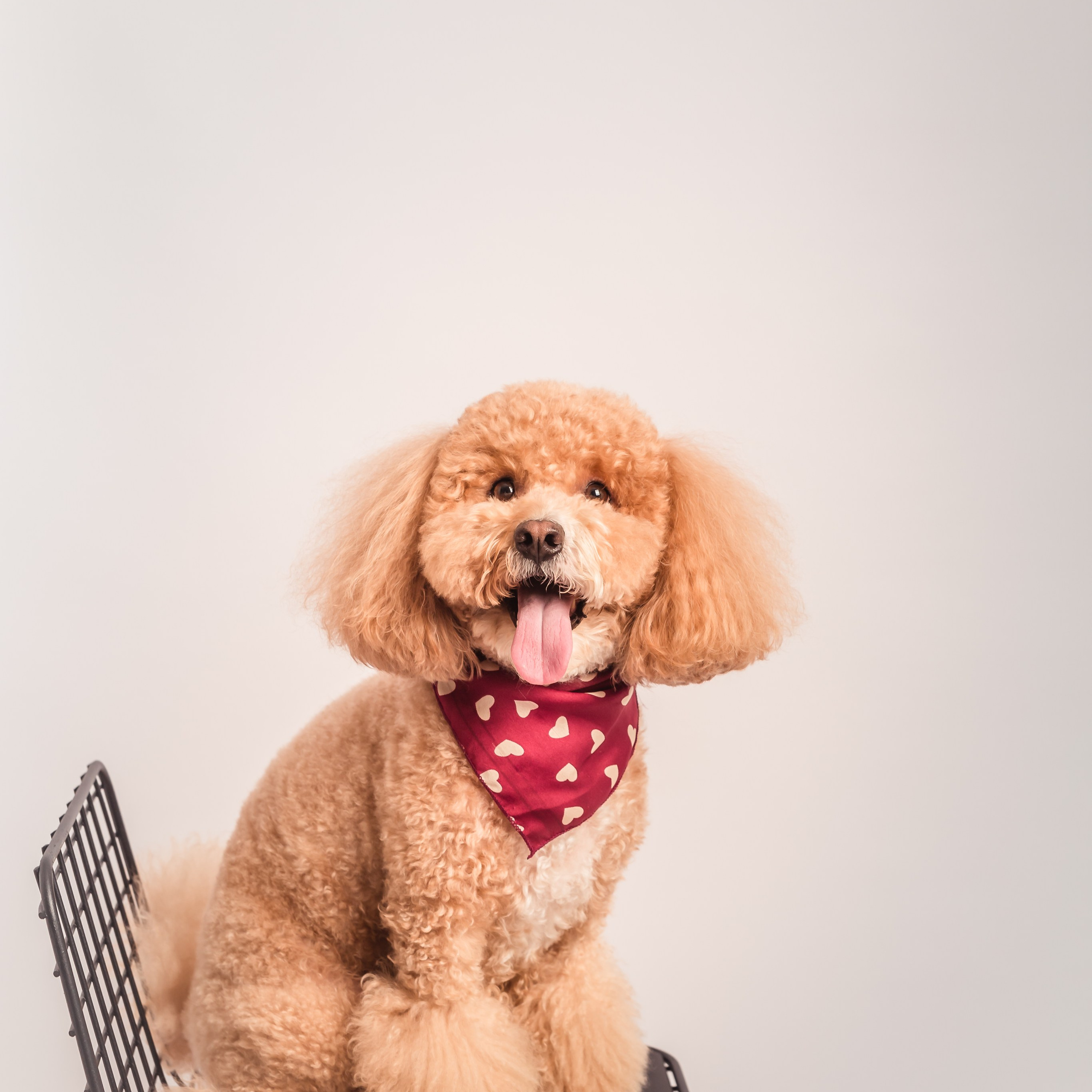 Anna&Leo -24. Professional family and children’s photographer in Izmir Irina Eron