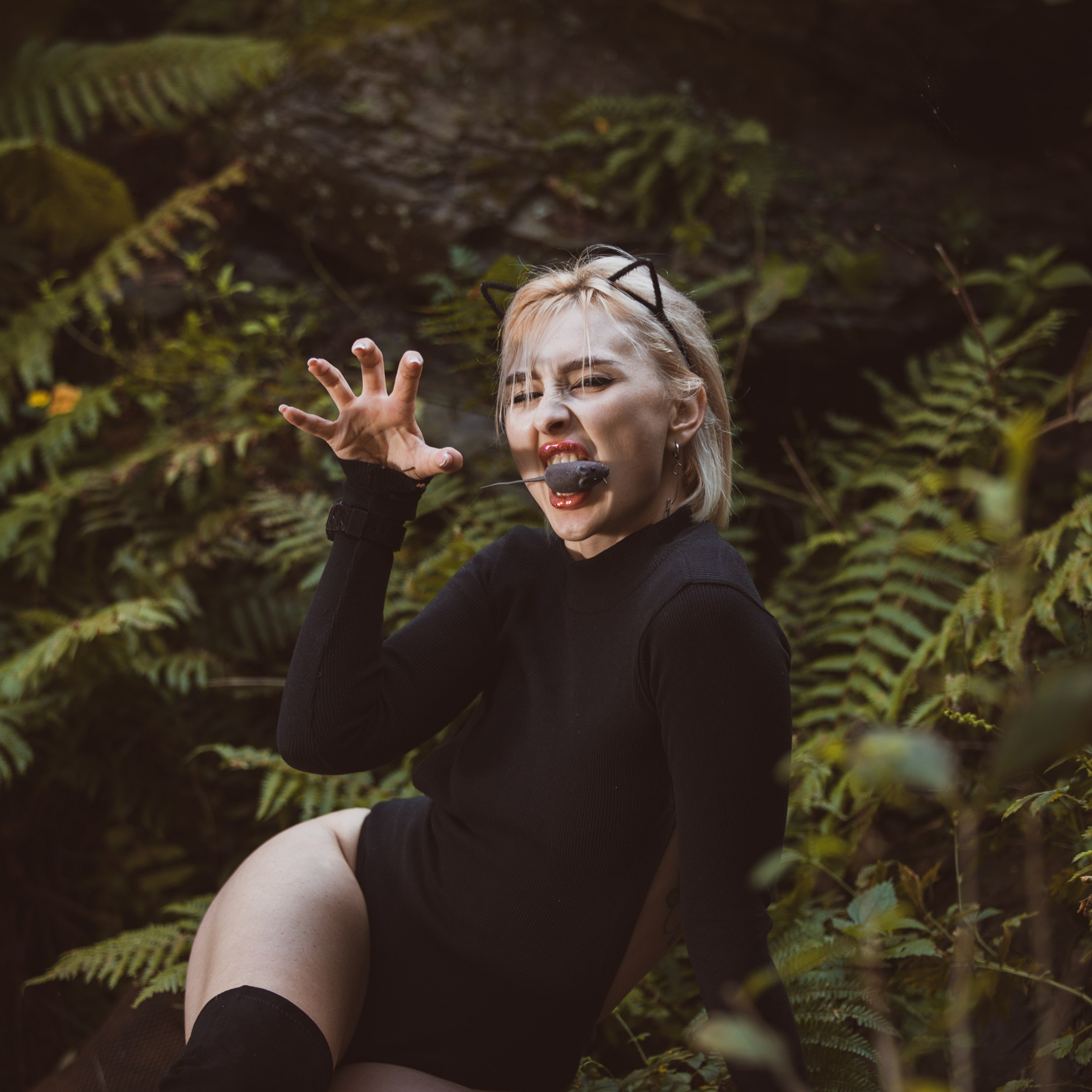 Кошка на природе 2023