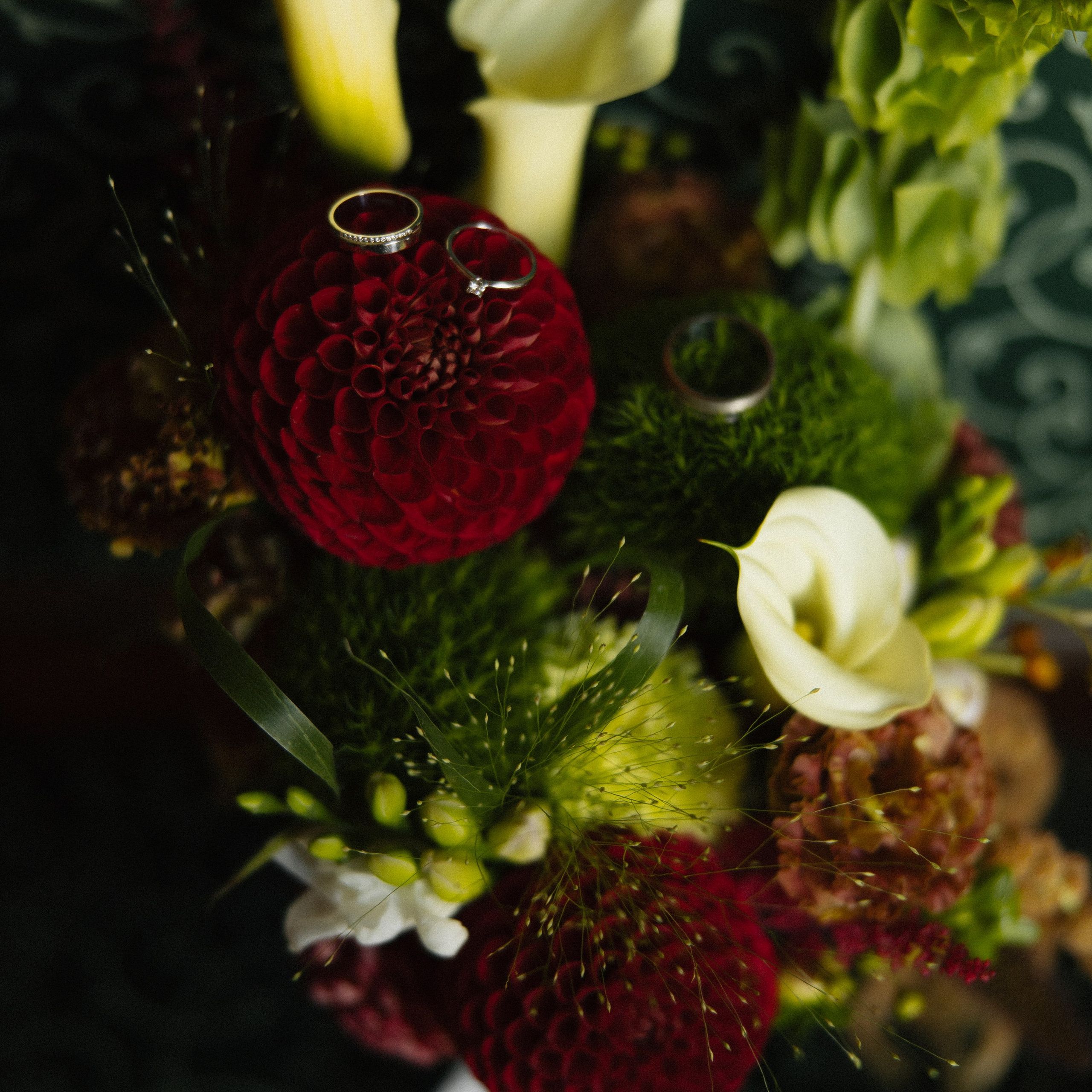 с тобой иначе сияет небо.