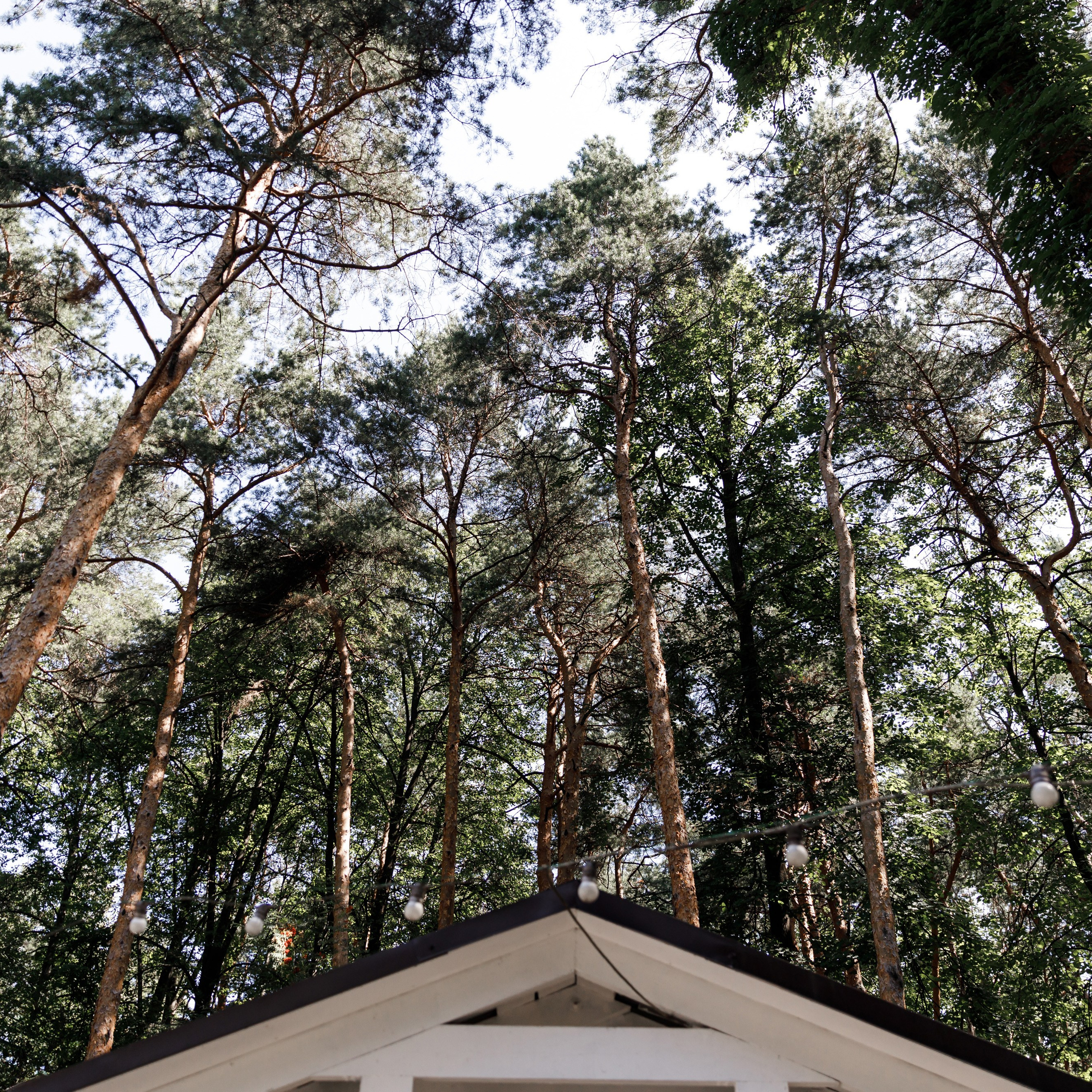 Wedding Н.Е. (Усадьба «Лесной Берег»). Свадебный фотограф Краснодар Павел Глухов