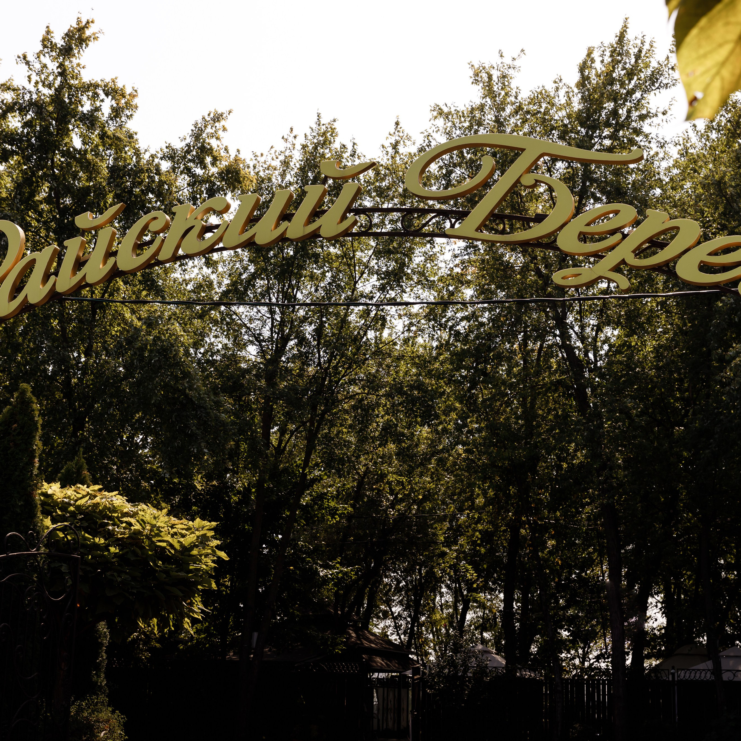 Отзывы. Свадебный фотограф Краснодар Павел Глухов