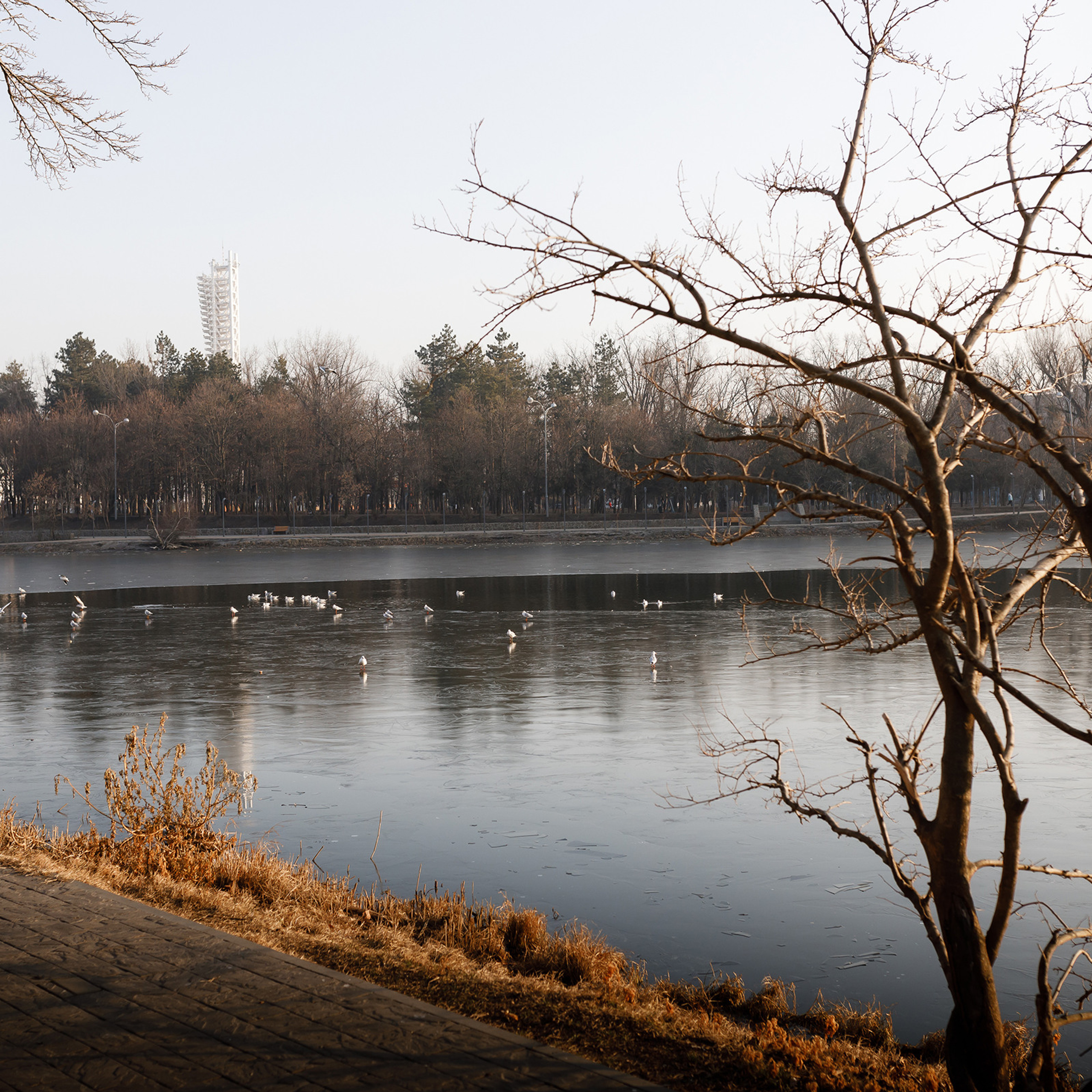 Мажед и Злата. Свадебный фотограф Краснодар Павел Глухов