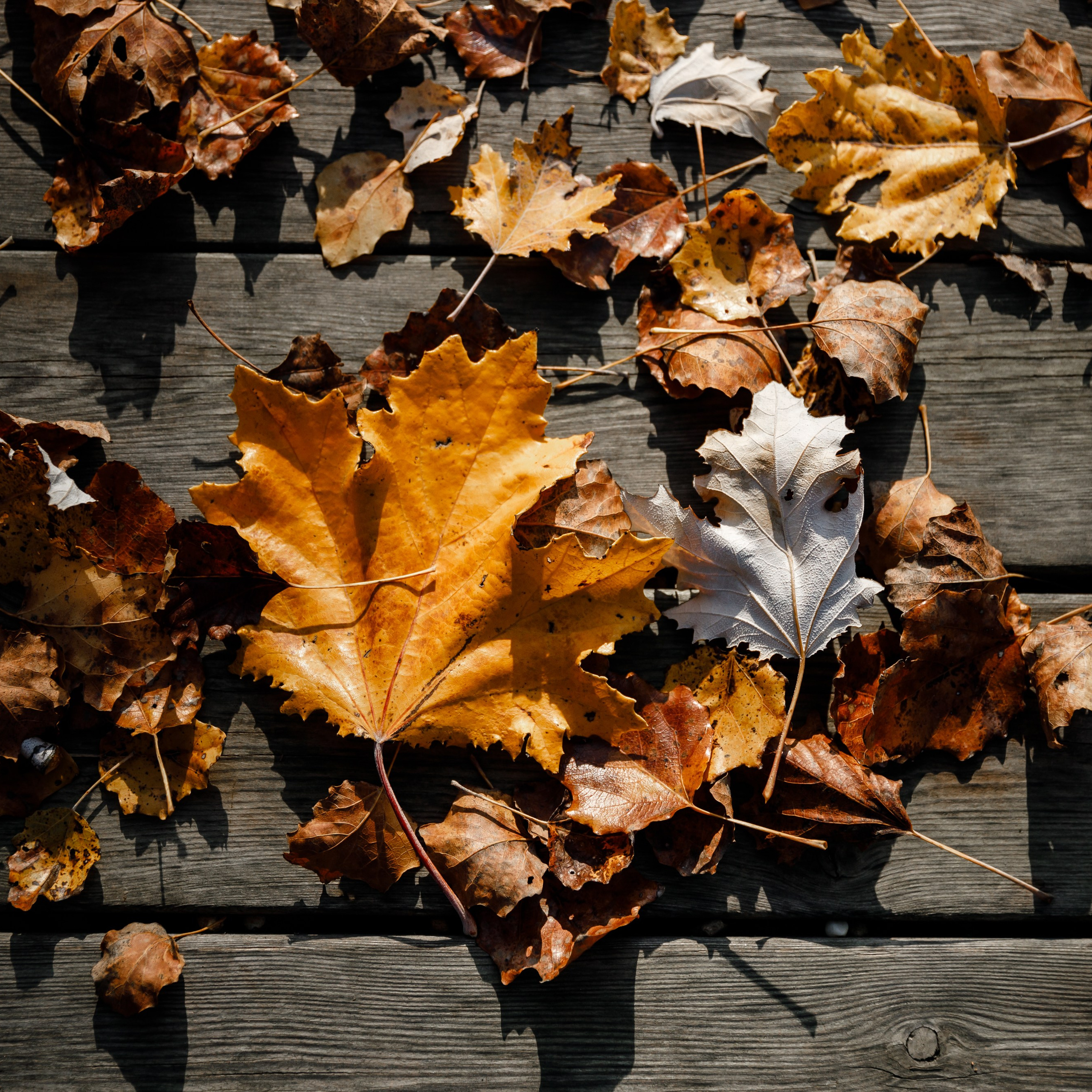 Фотосъемка событий. Свадебный фотограф Краснодар Павел Глухов