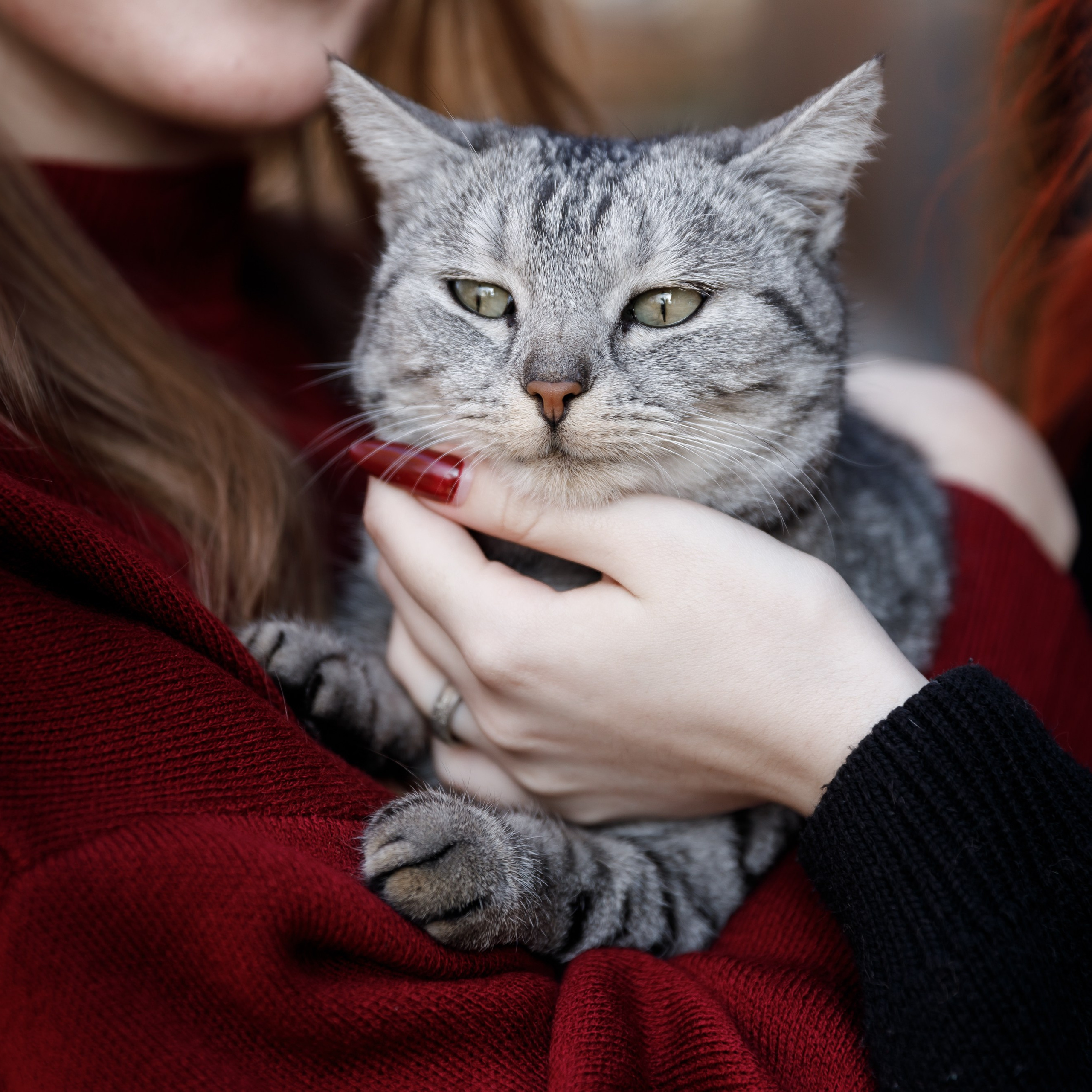 Фотосъемка событий. Свадебный фотограф Краснодар Павел Глухов