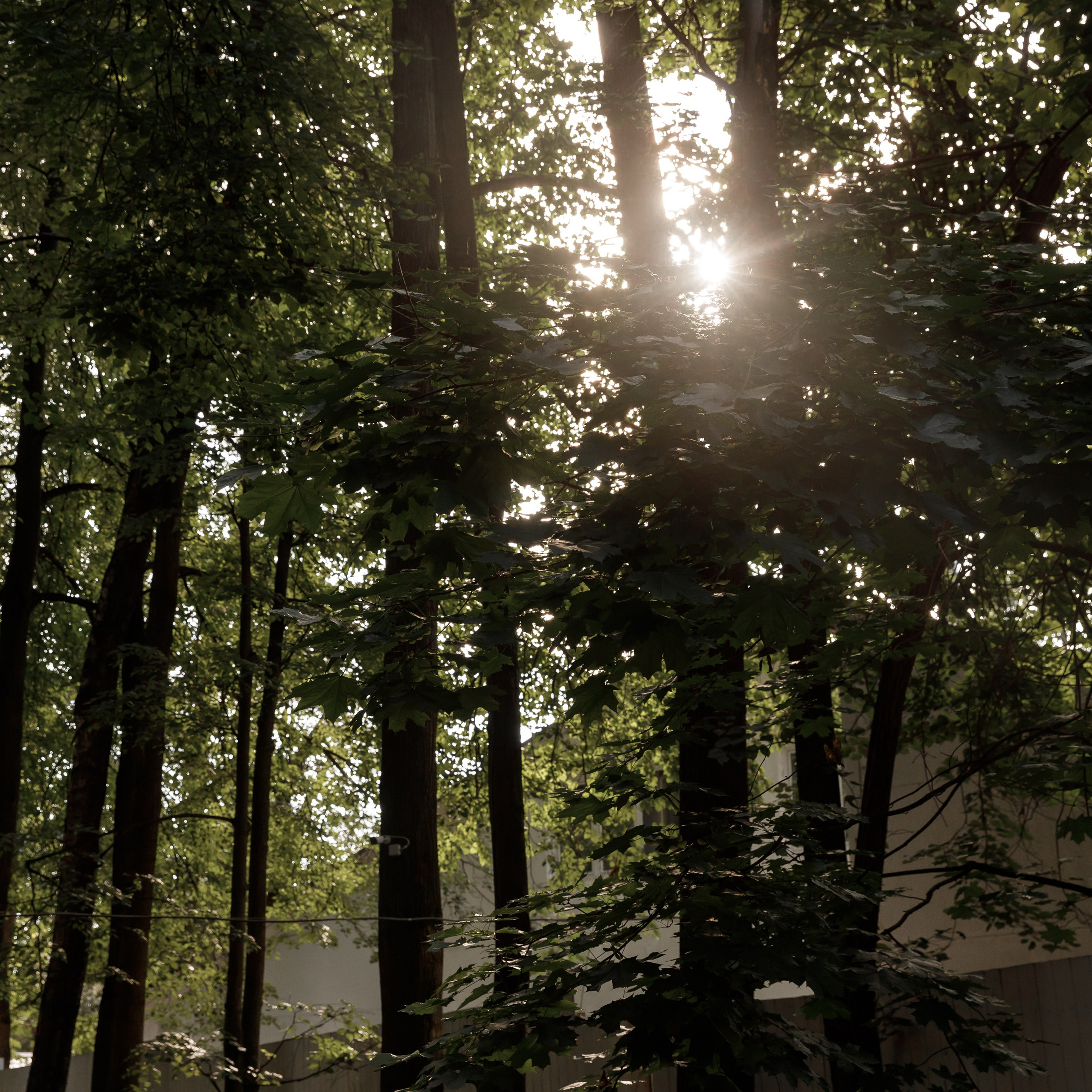 Wedding К.С. (Усадьба «Лесной Берег»). Свадебный фотограф Краснодар Павел Глухов