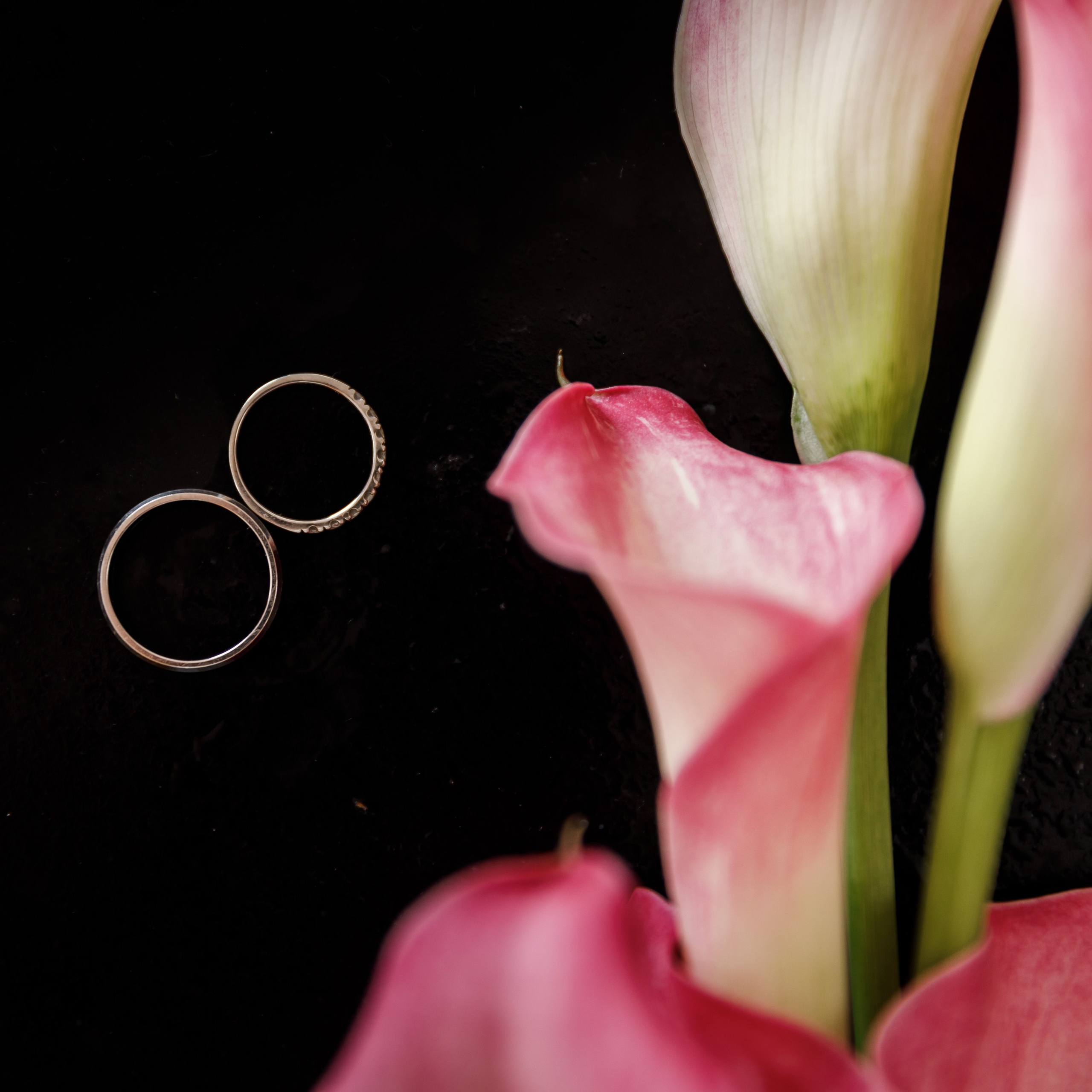 свадьба краснодар, фотограф на свадьбу краснодар, фотограф краснодар, свадебный фотограф краснодар, свадебный фотограф, свадебные фотографии, жених и невеста, свадебная фотосессия, фотограф, свадьба, свадебная прогулка, фотосессия, краснодар, позирование, фотограф анапа, фотограф новороссийск, фотограф сочи, анапа, сочи, майкоп, свадьба москва, москва, фотограф москва, свадебная фотосессия москва, фотосъемка москва, свадьба у моря, дом у моря, морская свадьба, геленжик, кабардинка, море, черное море