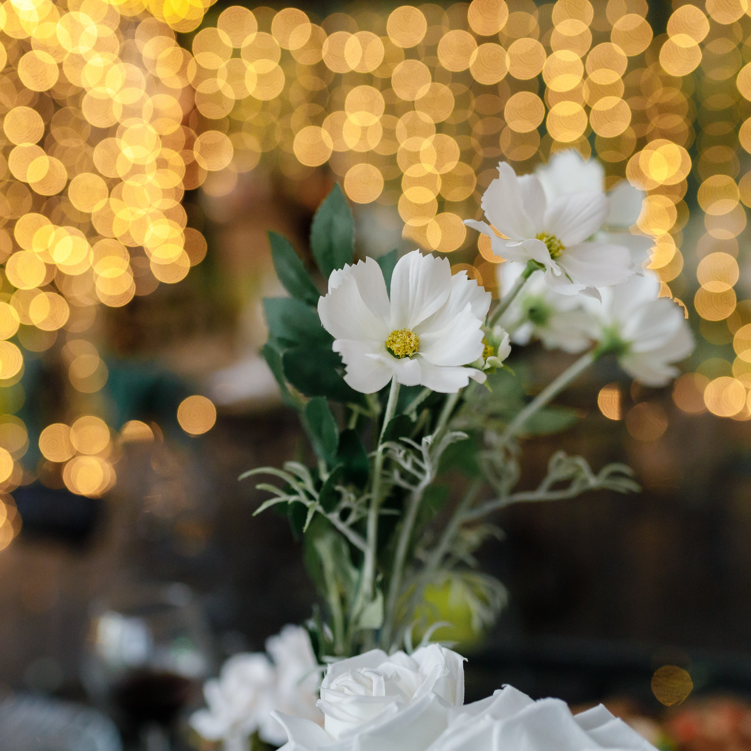 Свадебная фотосъемка в Москве. Свадебный фотограф Краснодар Павел Глухов